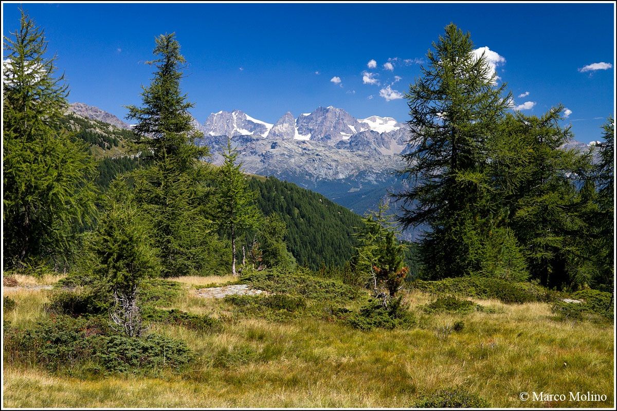 Valmalenco - Bernina Group