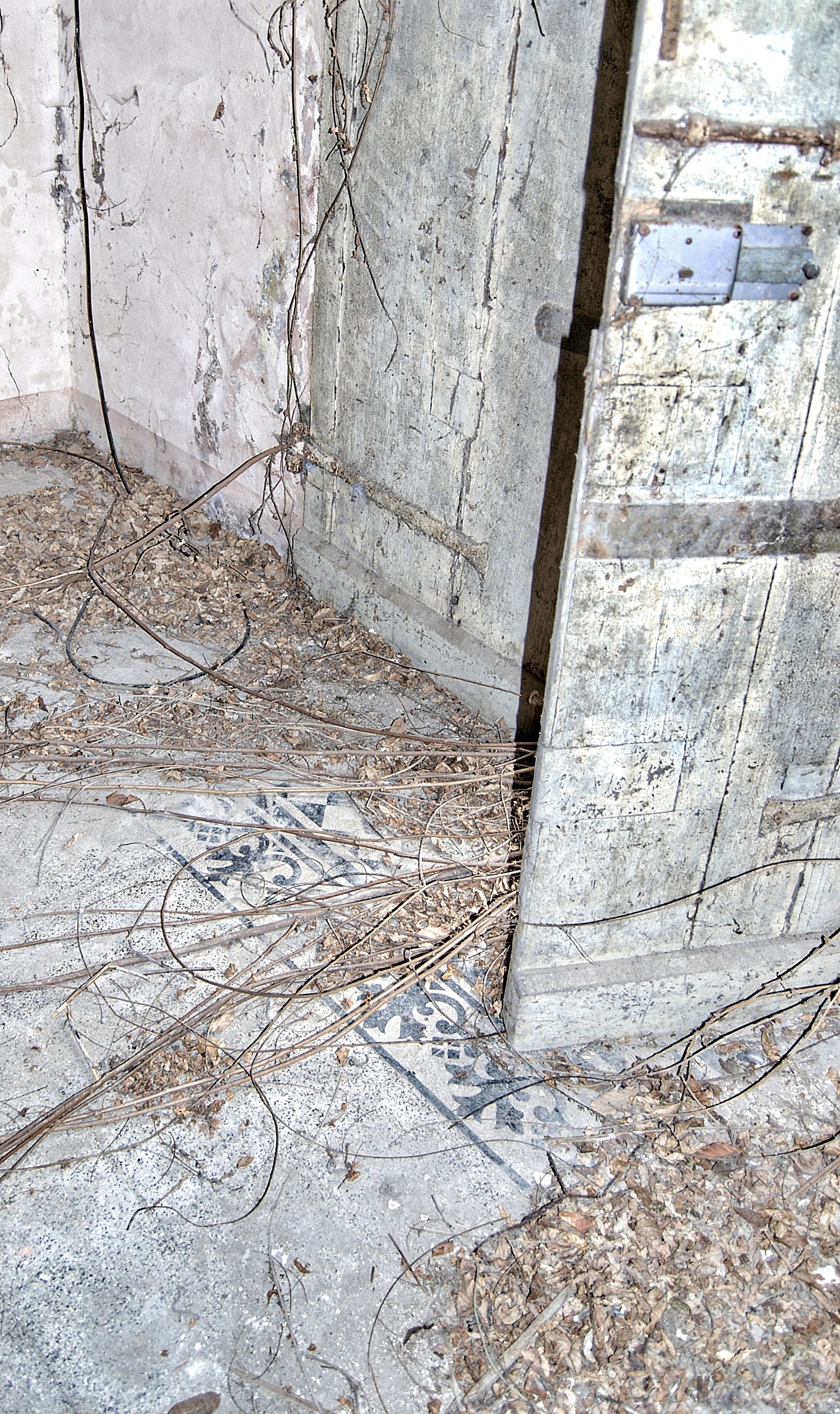 the destruction of the sprout