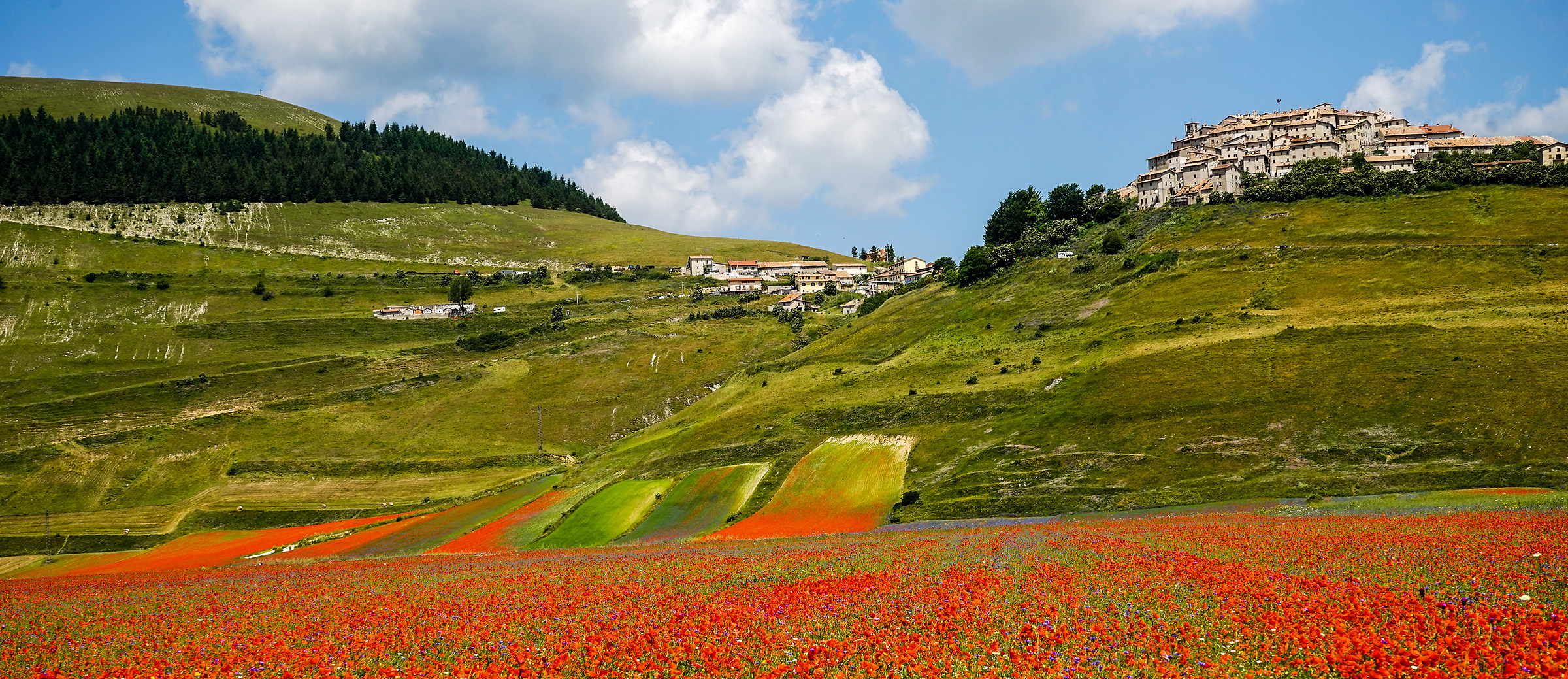 Castelluccio of Norcia