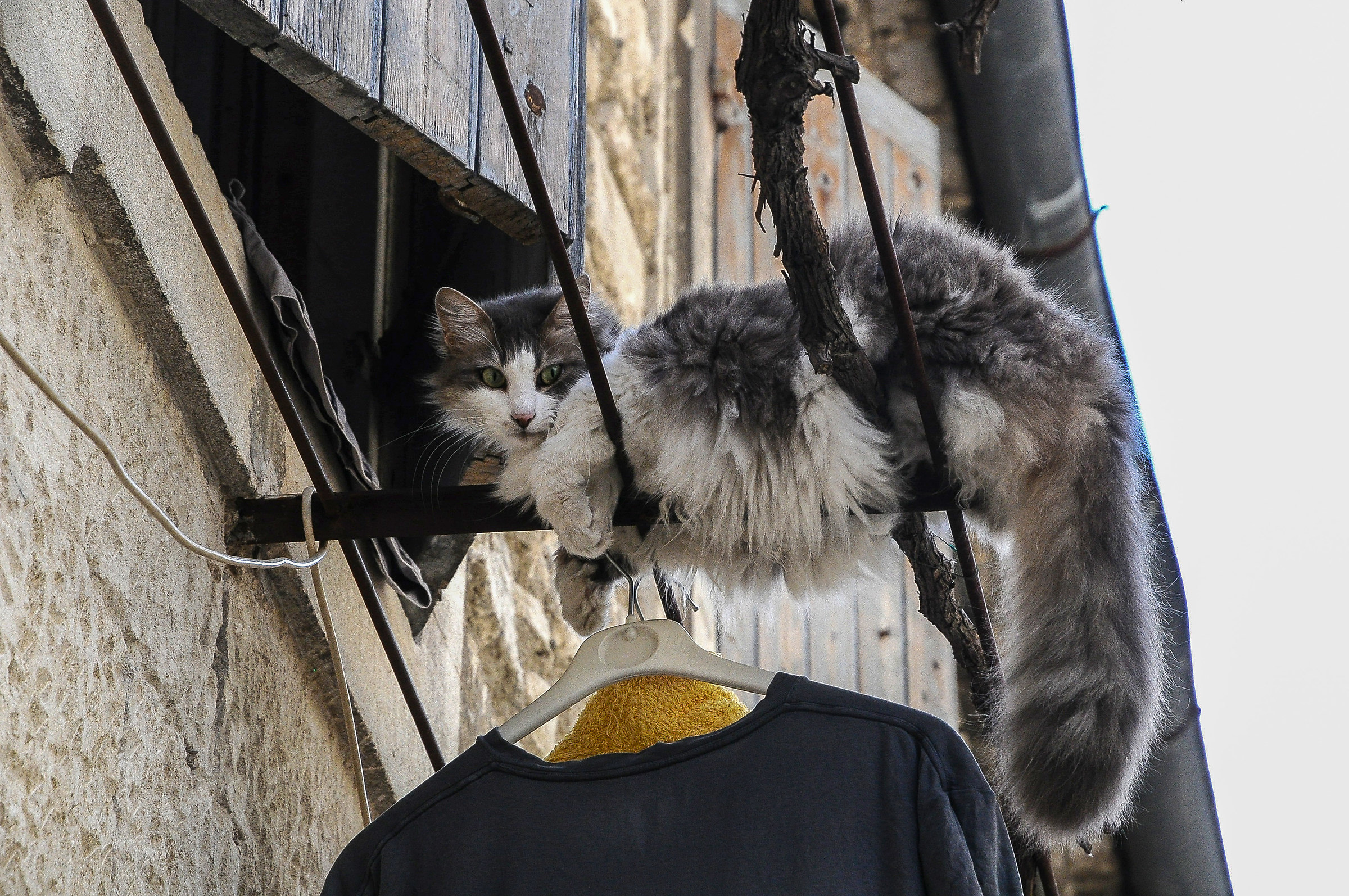 Anch 'I have been hung out to dry ......