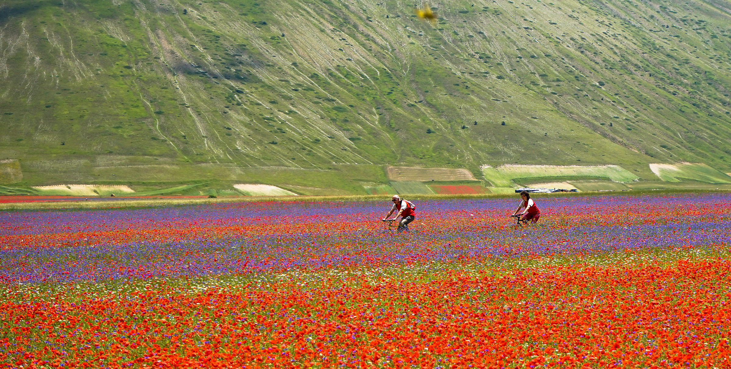 Castelluccio of Norcia
