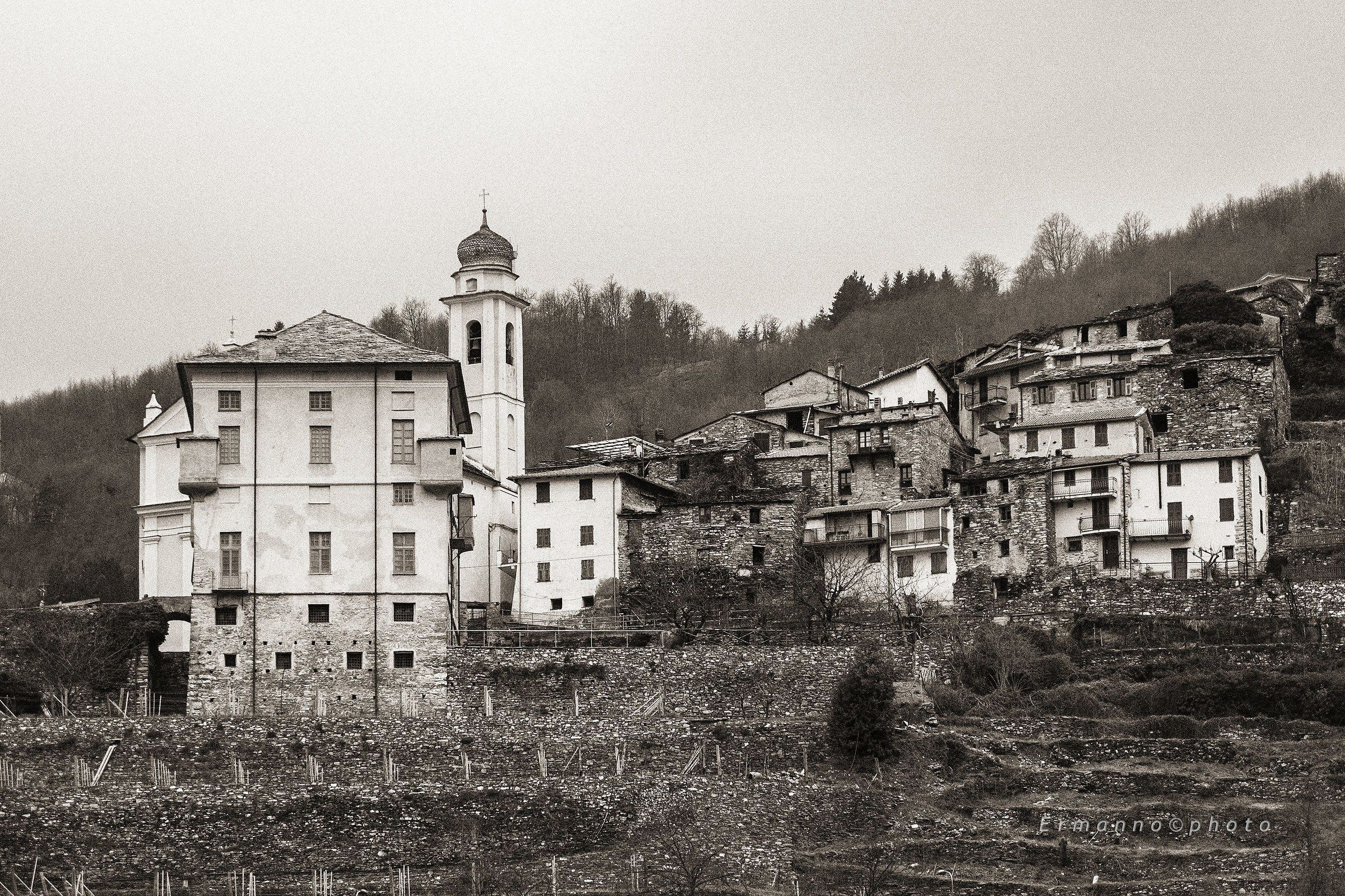 Castello di Rezzo e parte del paese