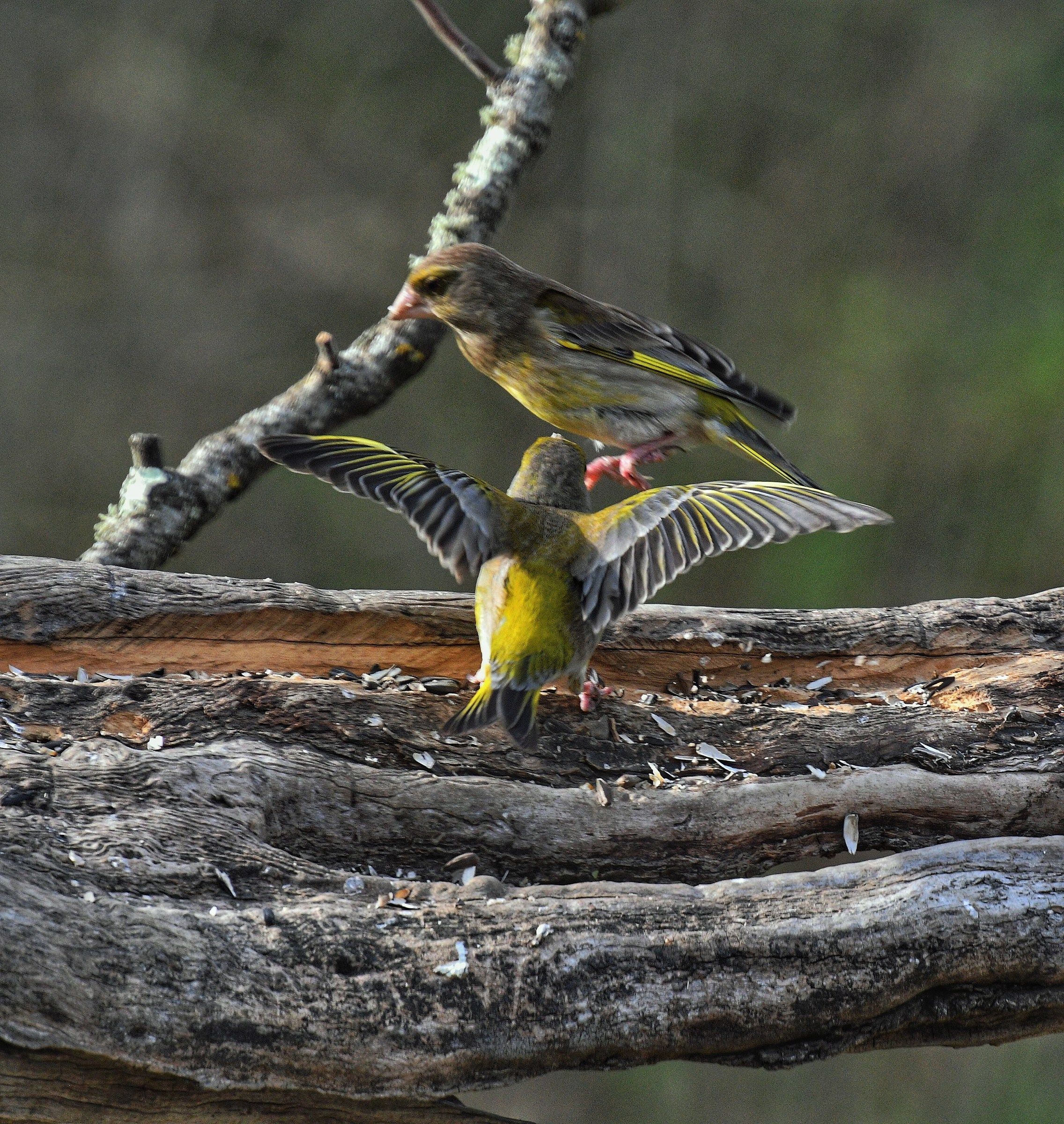 This is my place !!!