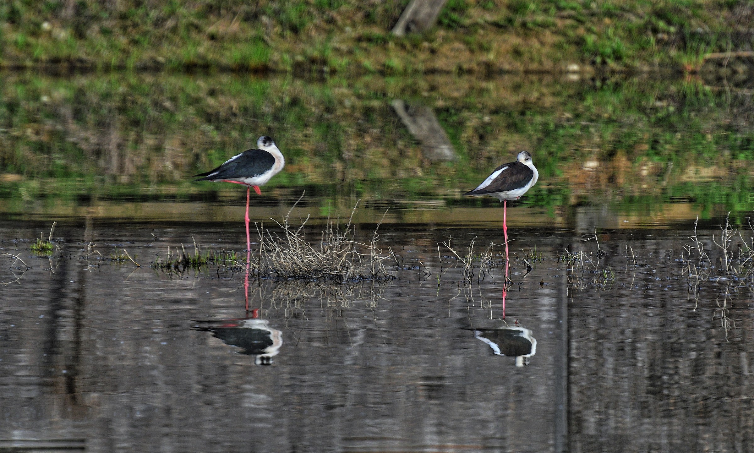 Are you so and you do not see anyone!