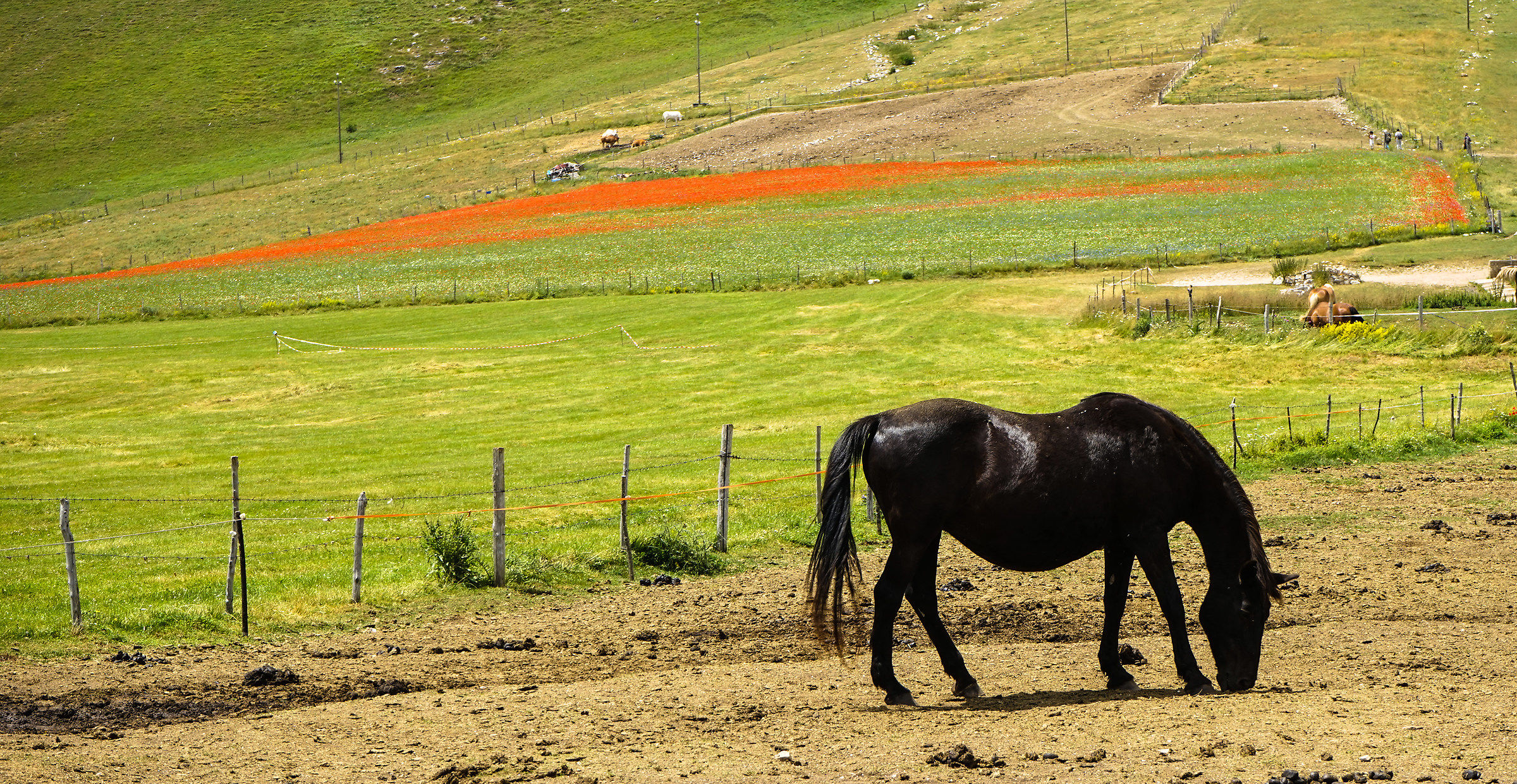 Castelluccio of Norcia