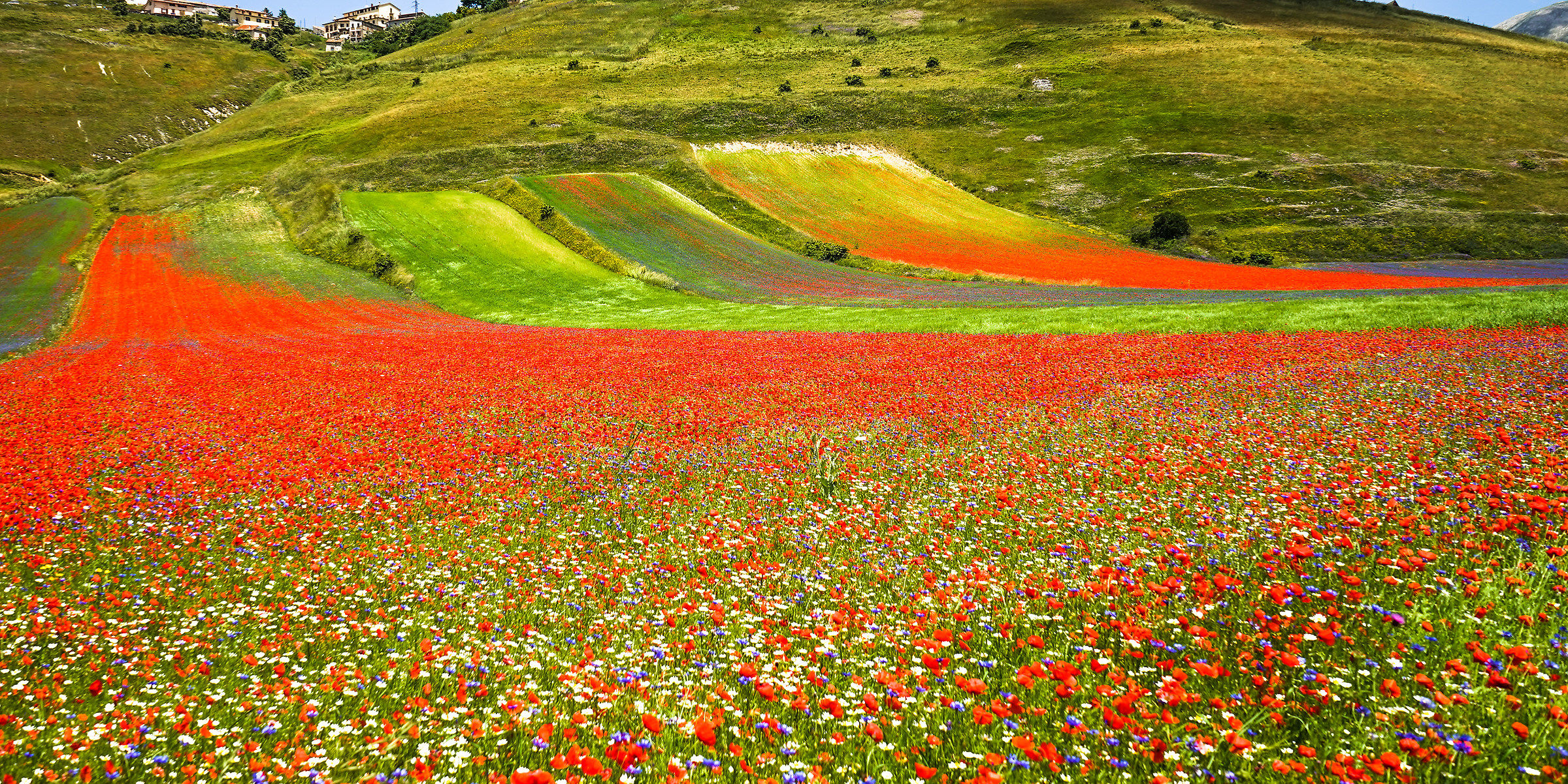 Castelluccio of Norcia