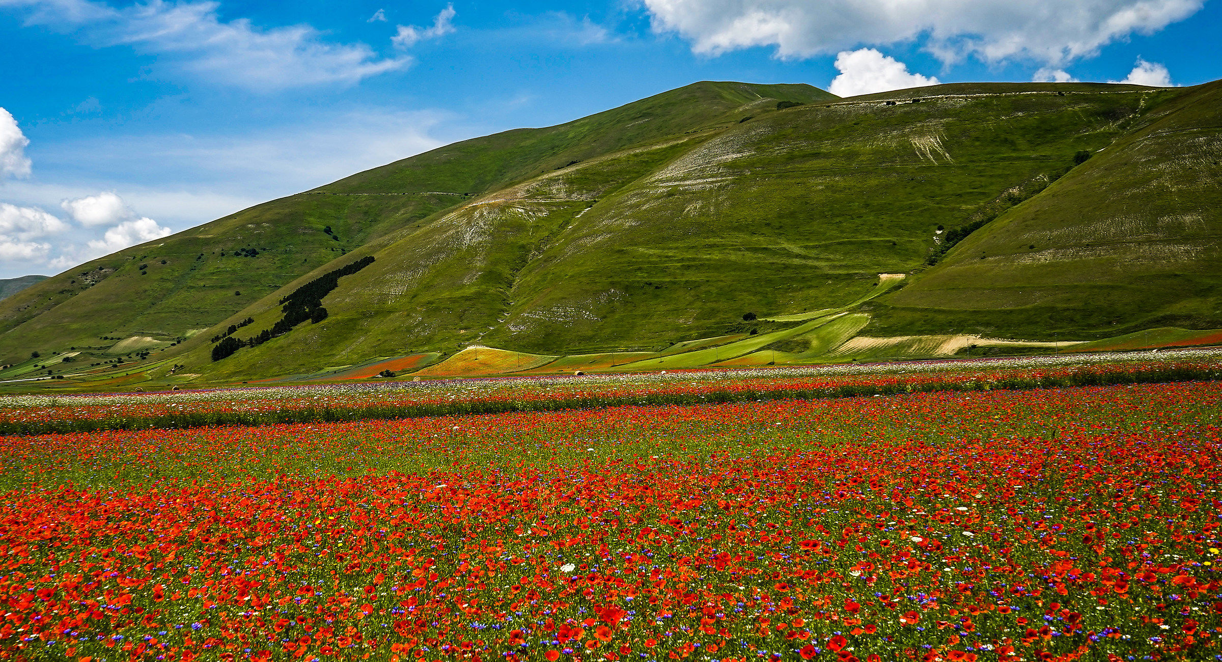 Castelluccio of Norcia