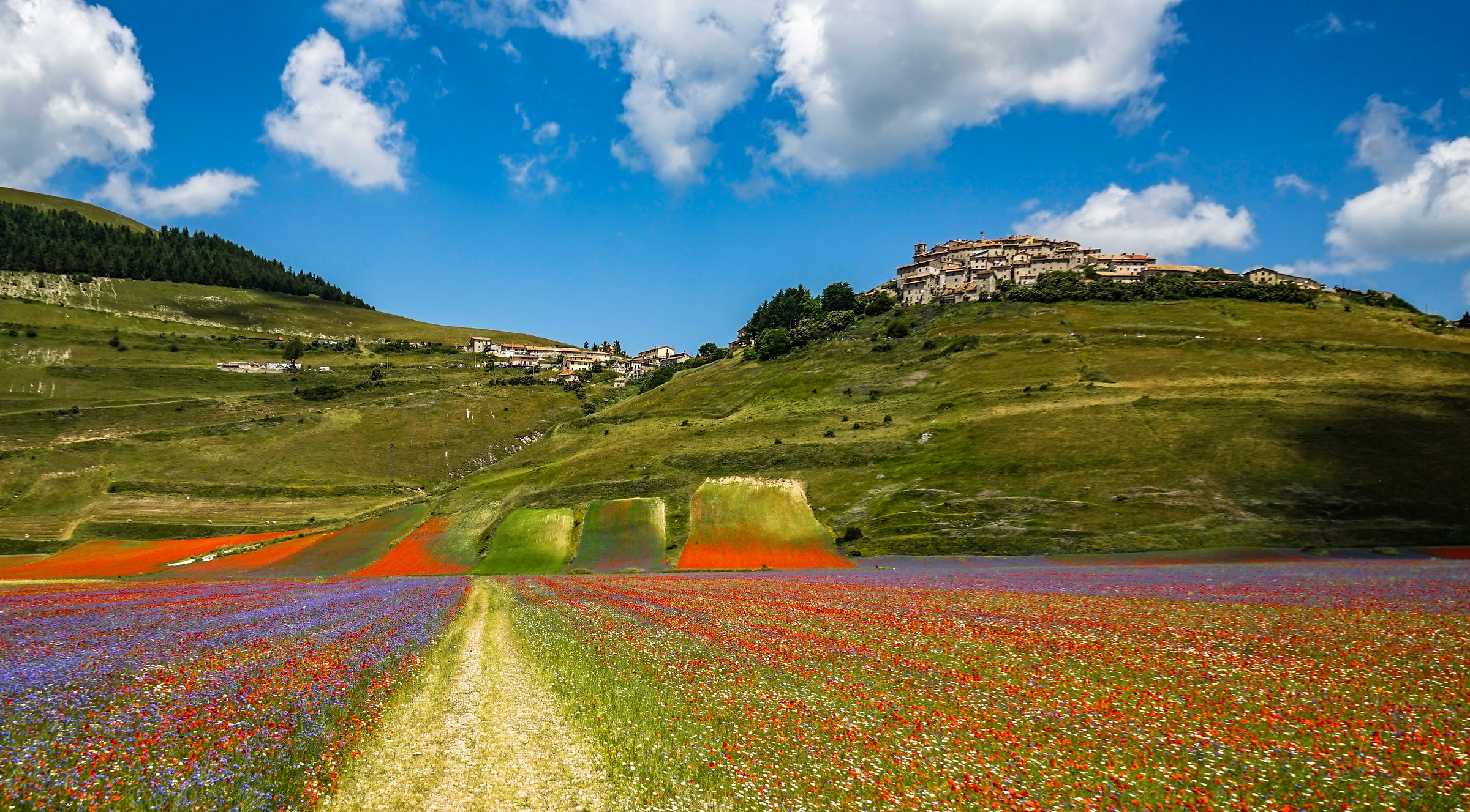 Castelluccio of Norcia