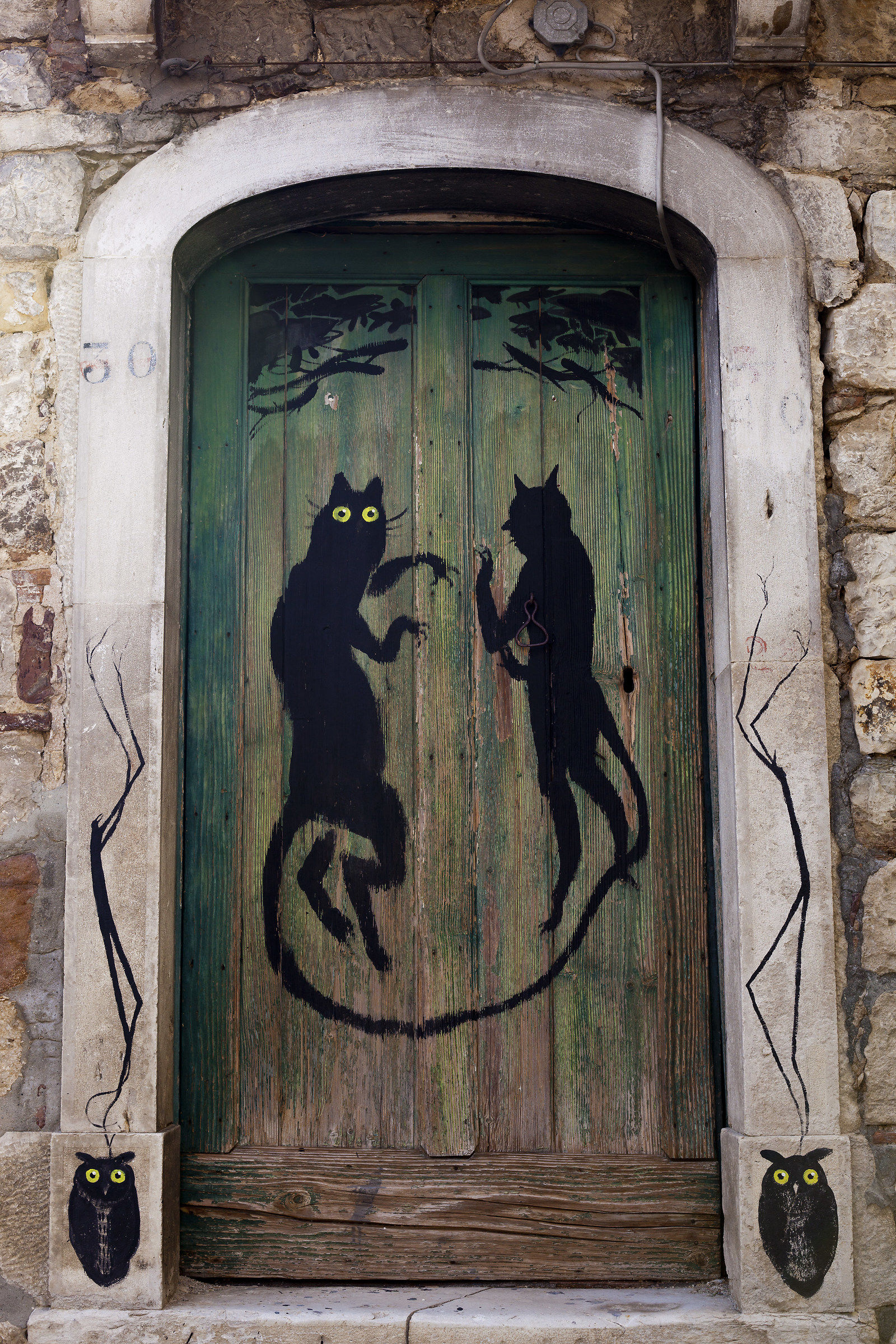 Here ... we cat breeding!