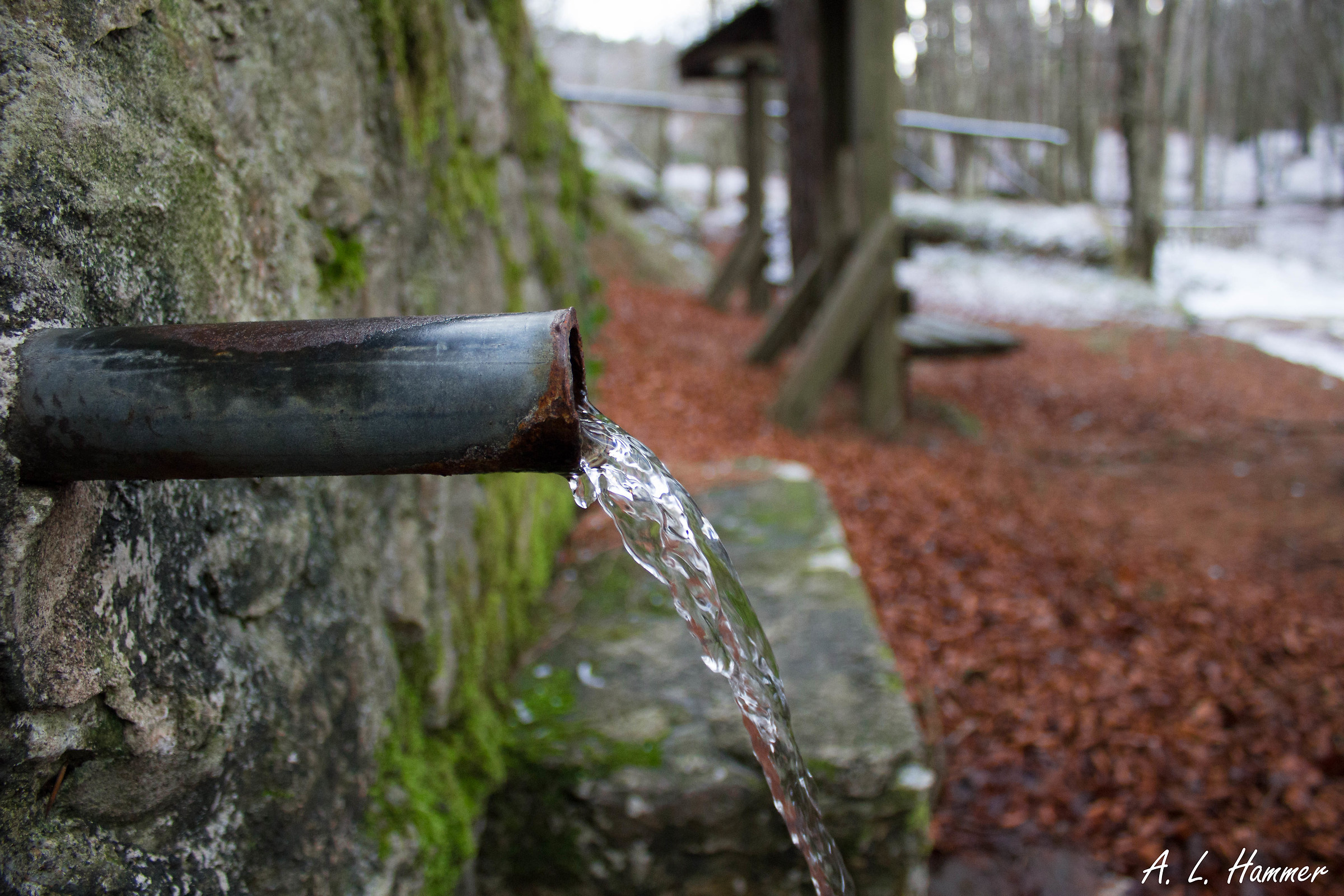 Cenadi Adventure Park (cz)