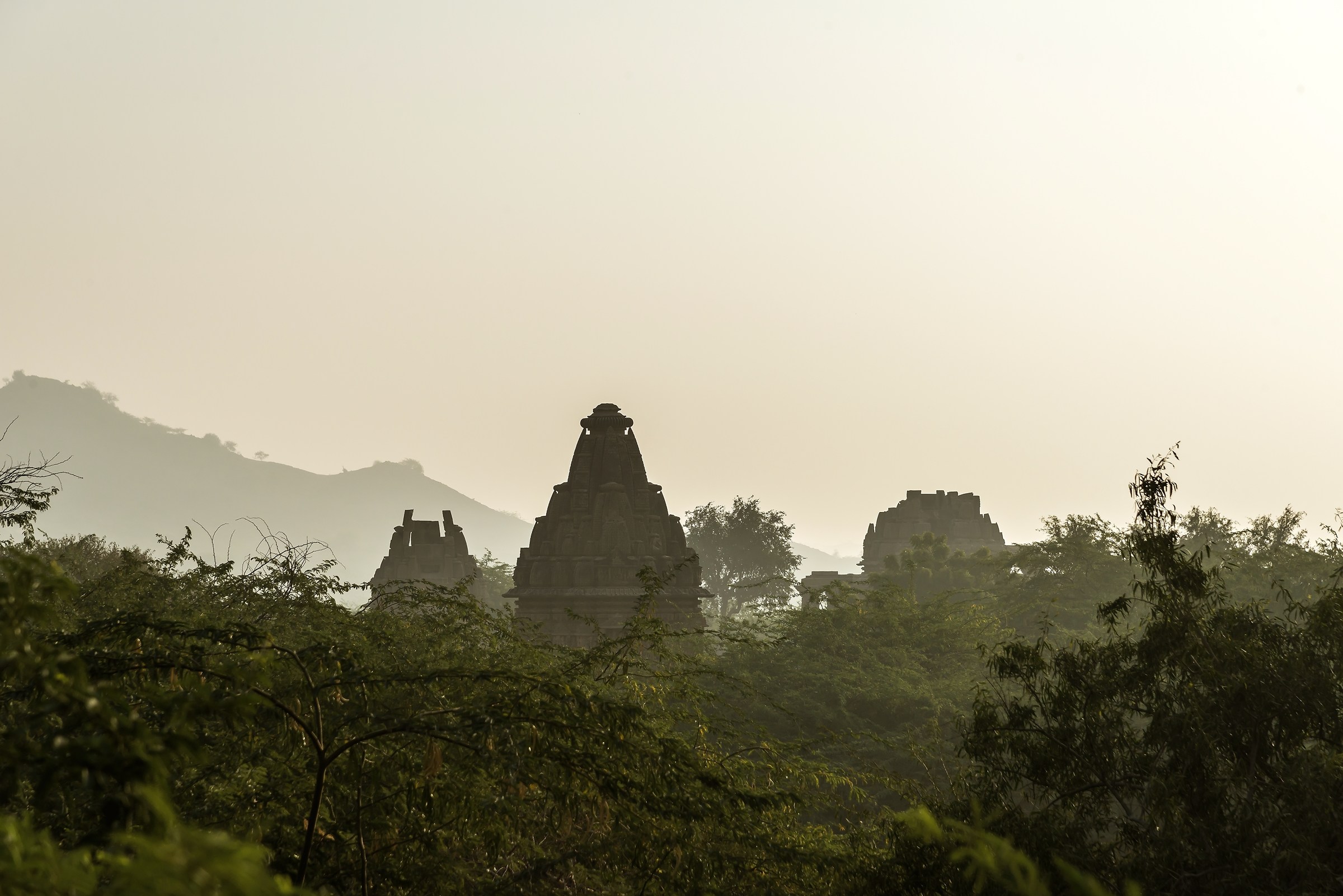 Rajasthan 2017 - L'antico Tempio nascosto