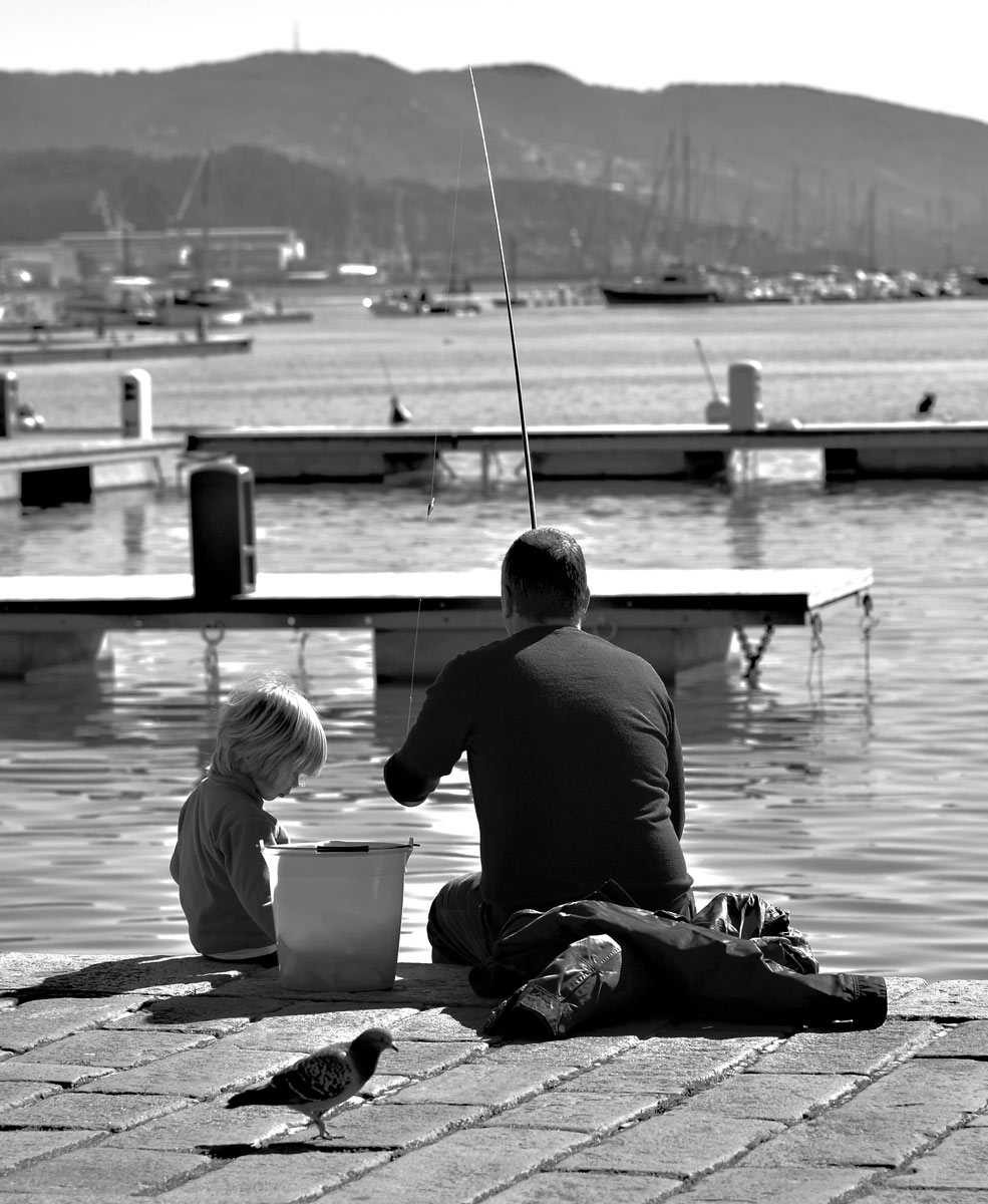 W Fisheries "exclaimed" the Pigeon ...