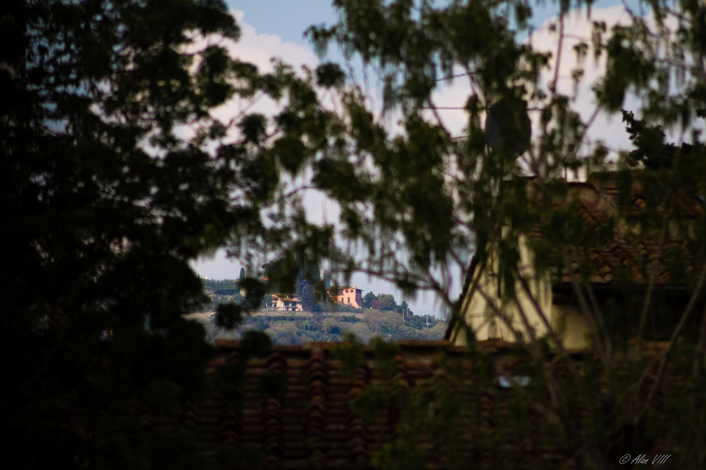 The house on the hill