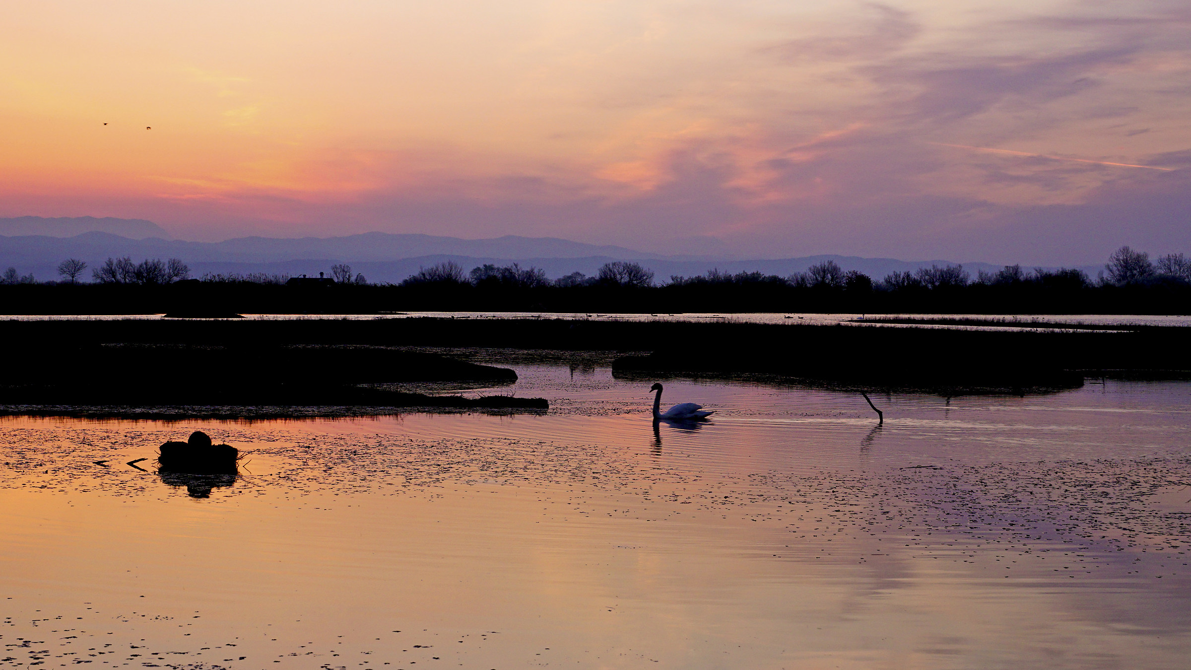 Alba all'isola della Cona
