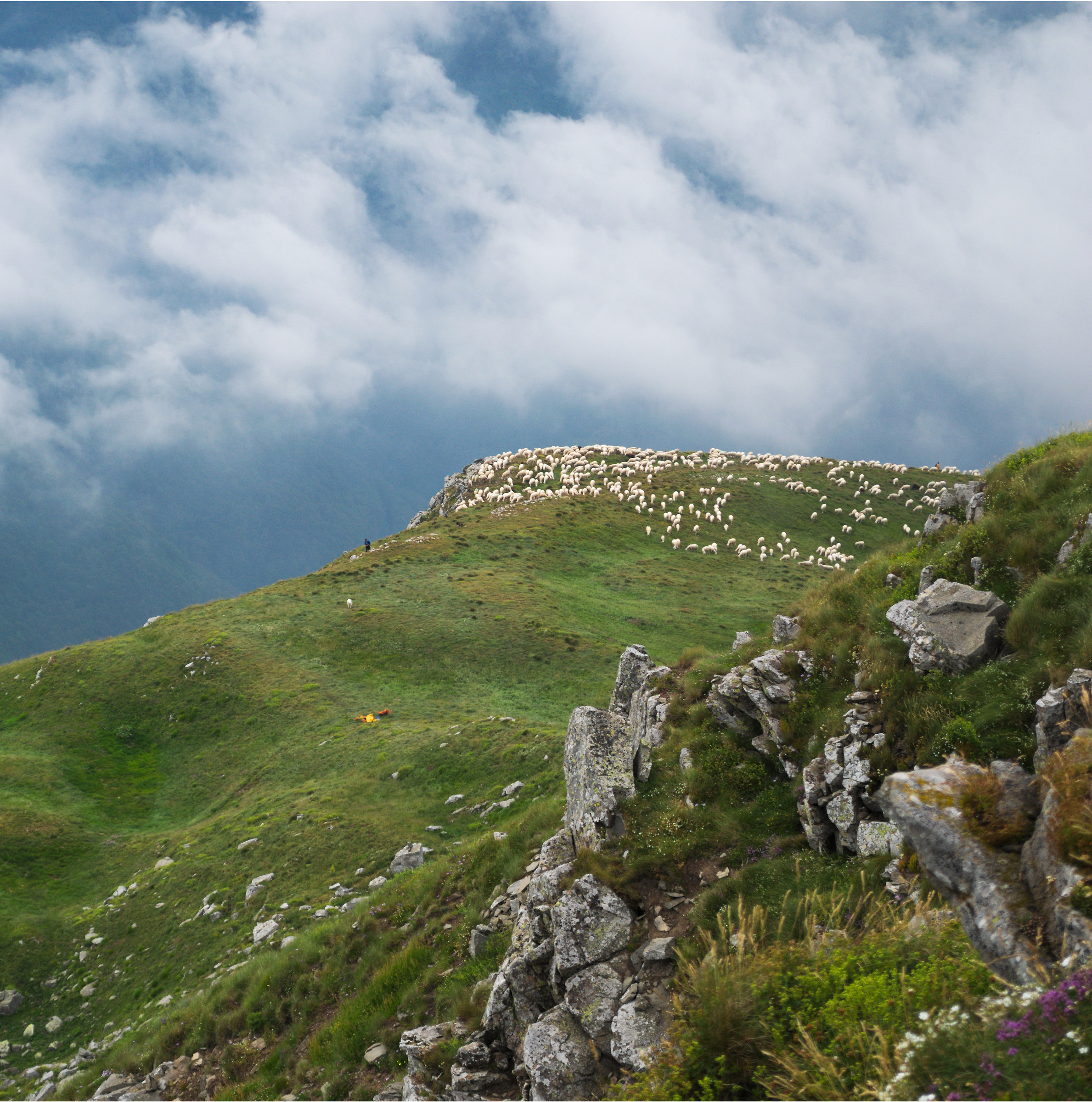 Clouds grazing (crop)