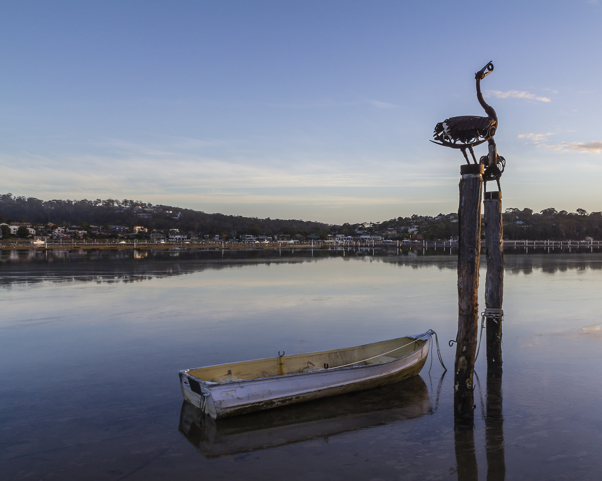 The Pelican and the boat