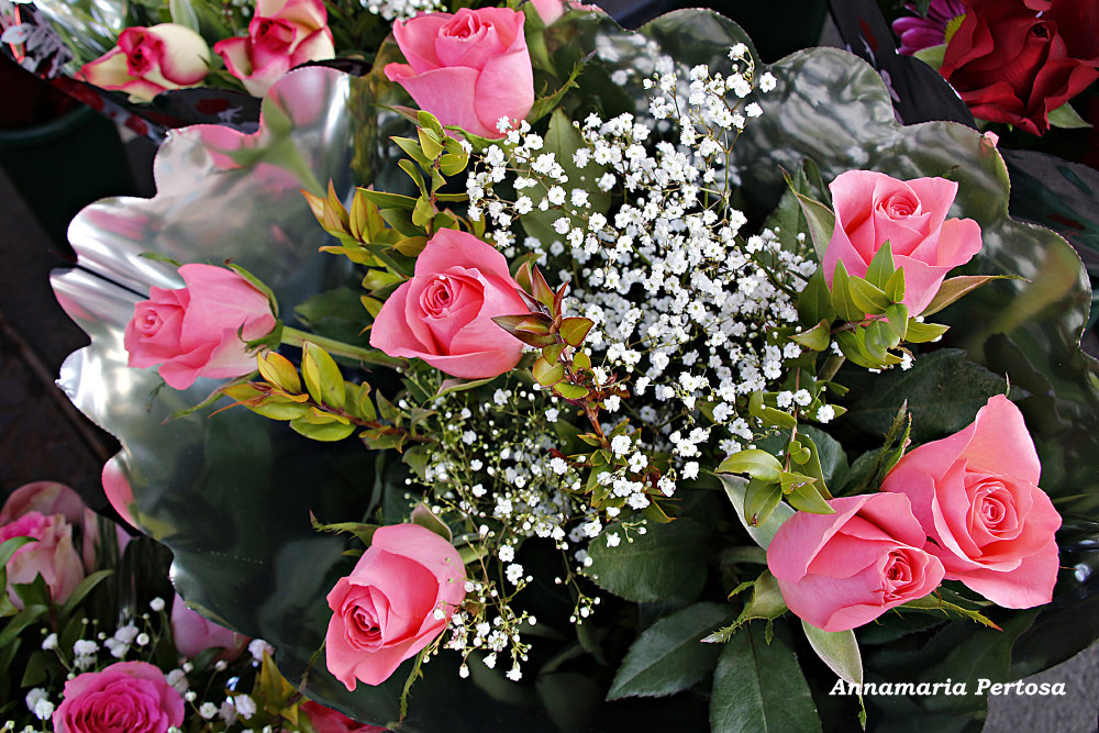 All'angolo di casa mia una nota di colore