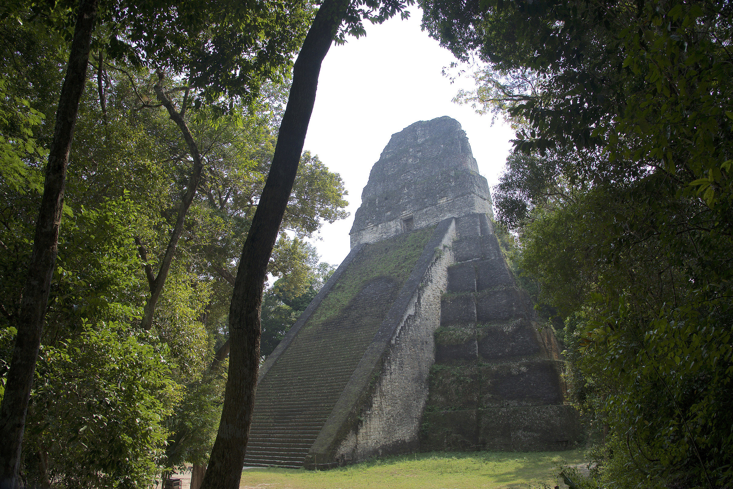 The temple in the forest