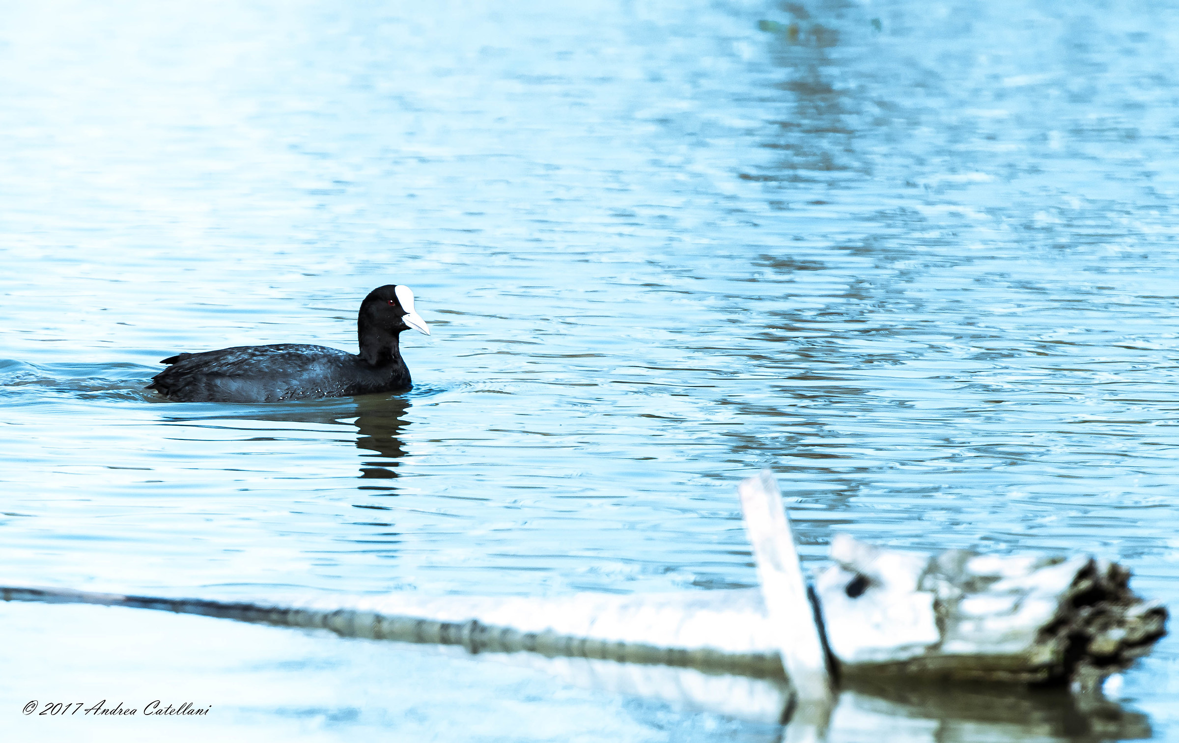 Spring Bath
