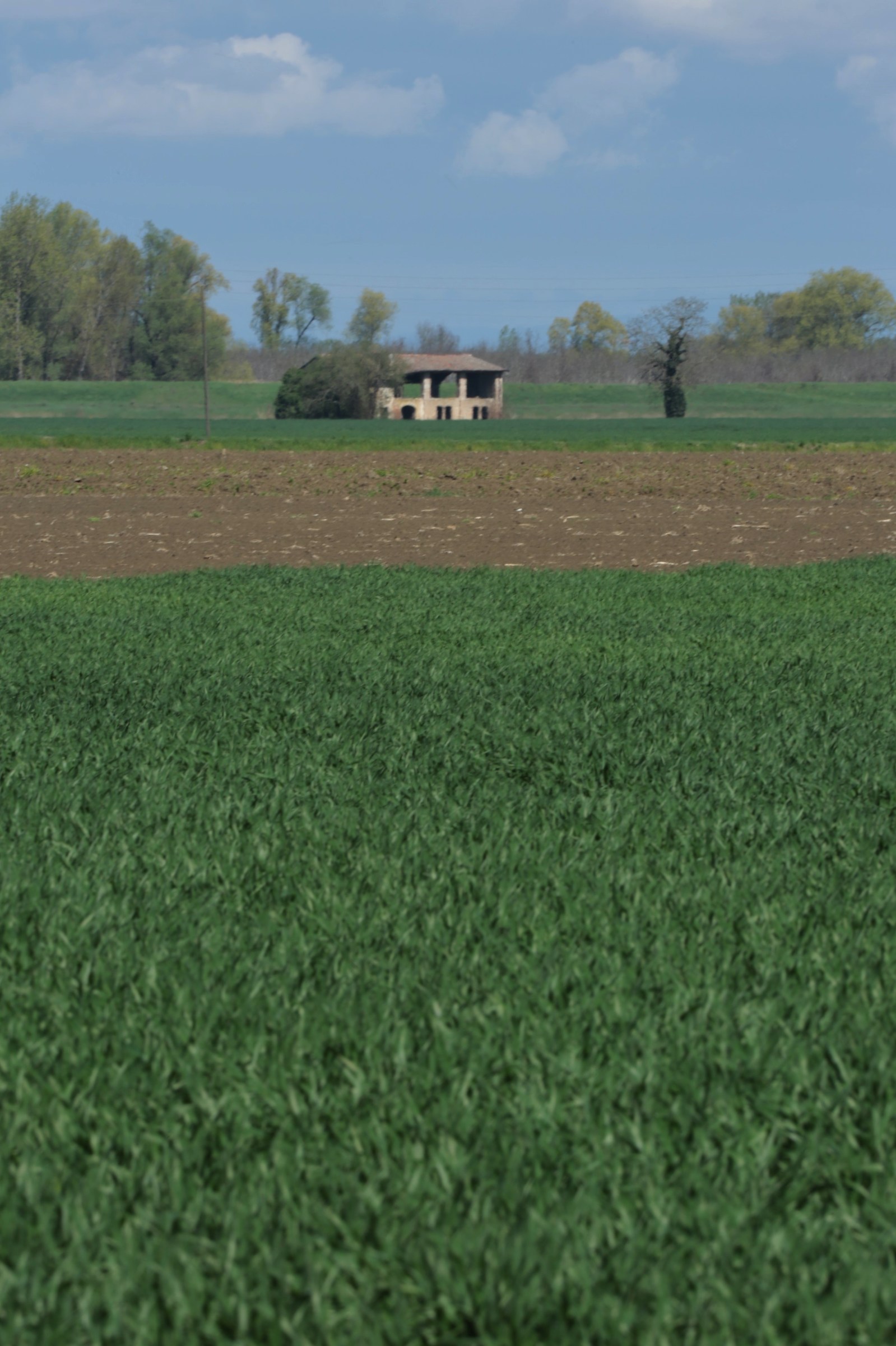 campaign on the Po (Caorso)