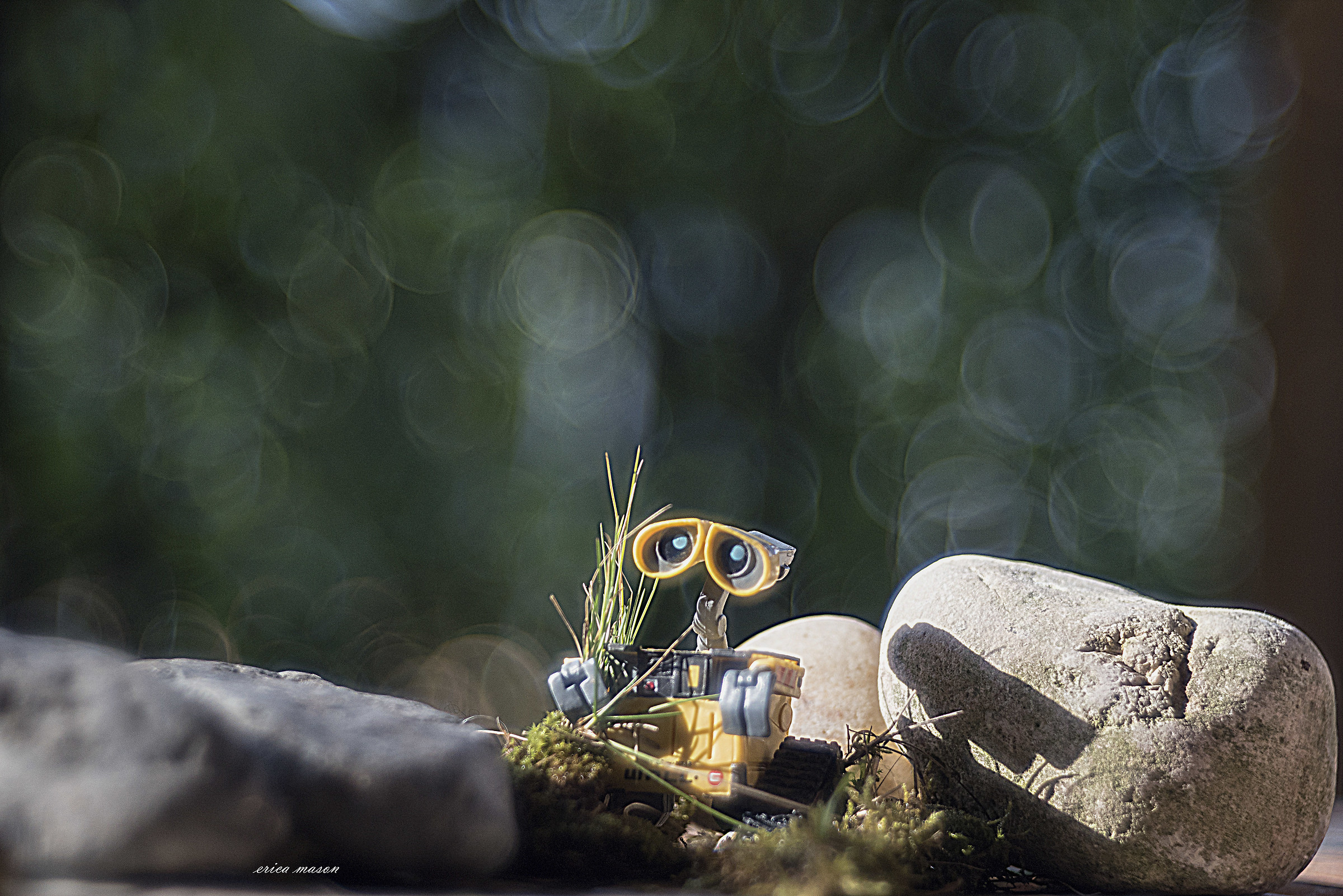 all is not lost .....