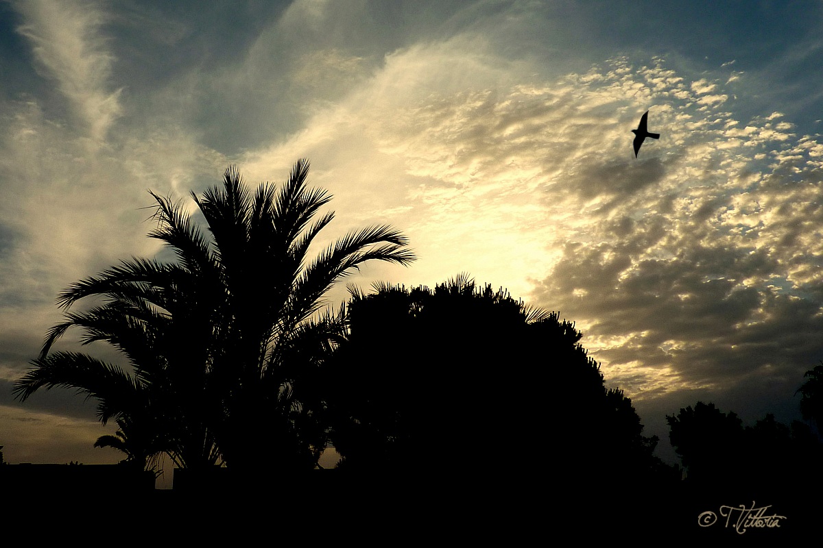 Tramonto a Port El Kantaoui (Tunisia)