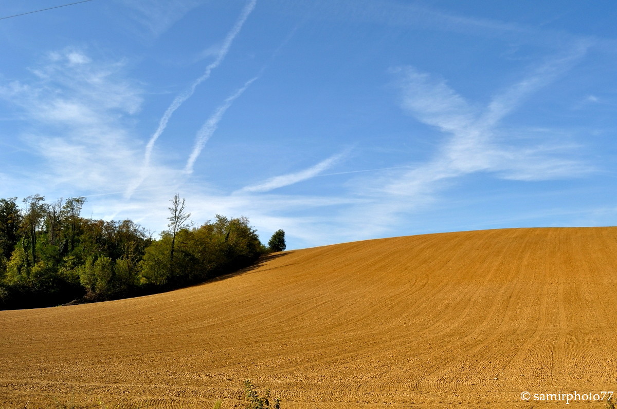prime colline piacentine