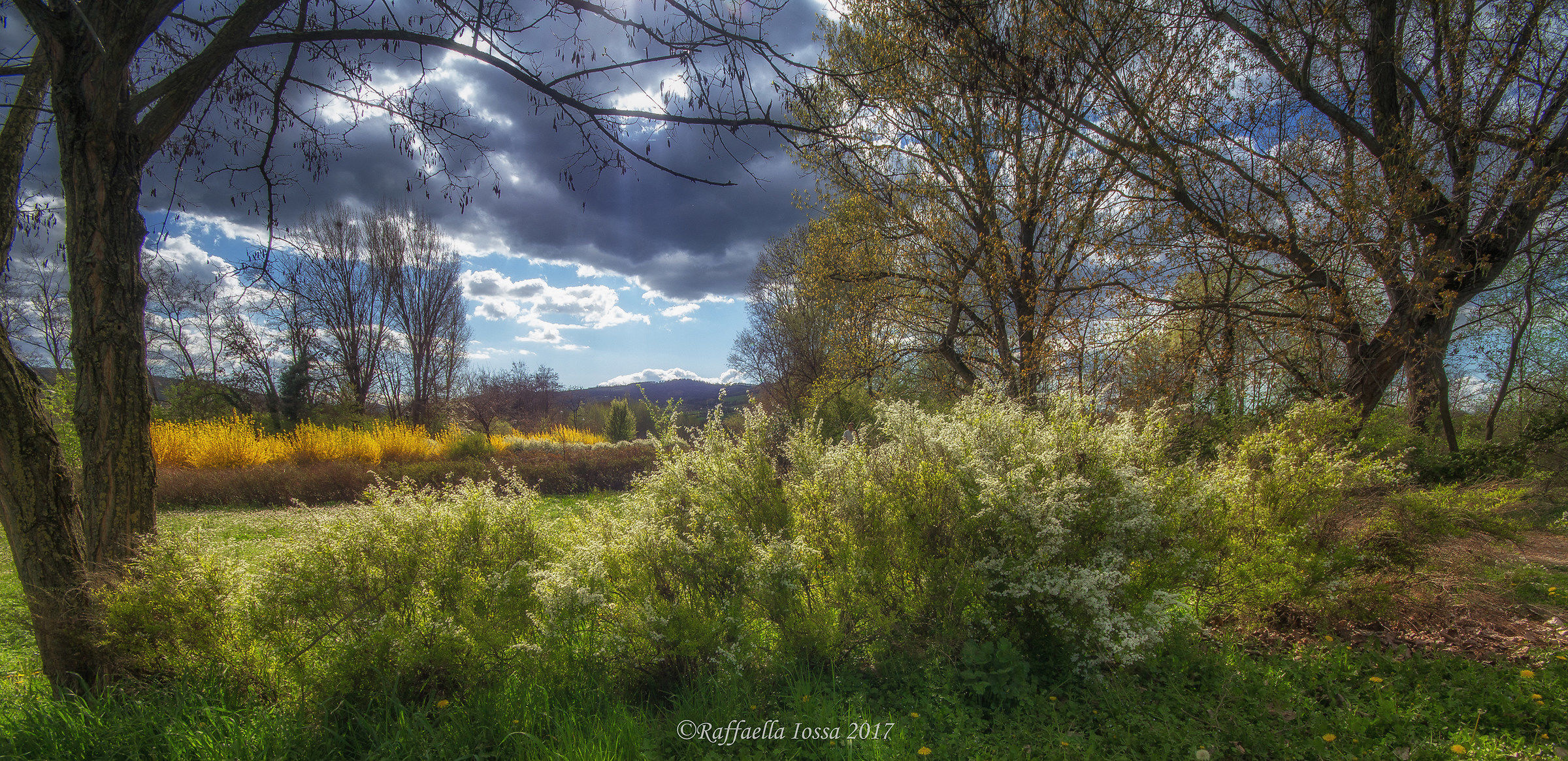 Scandiano ( Reggio Emilia)