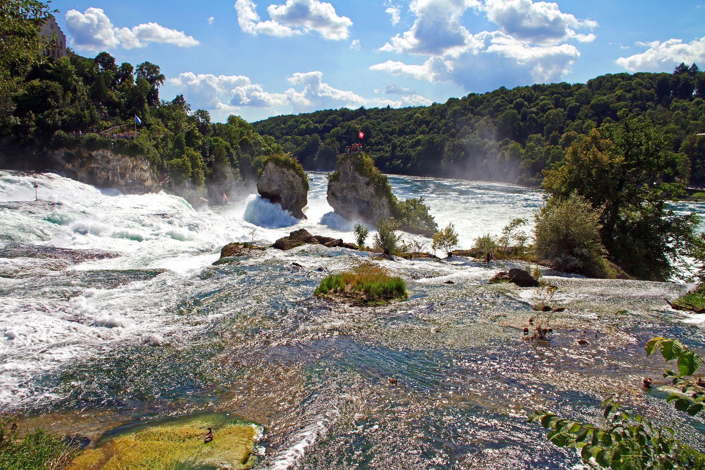 Rhein's Falls - Switzerland