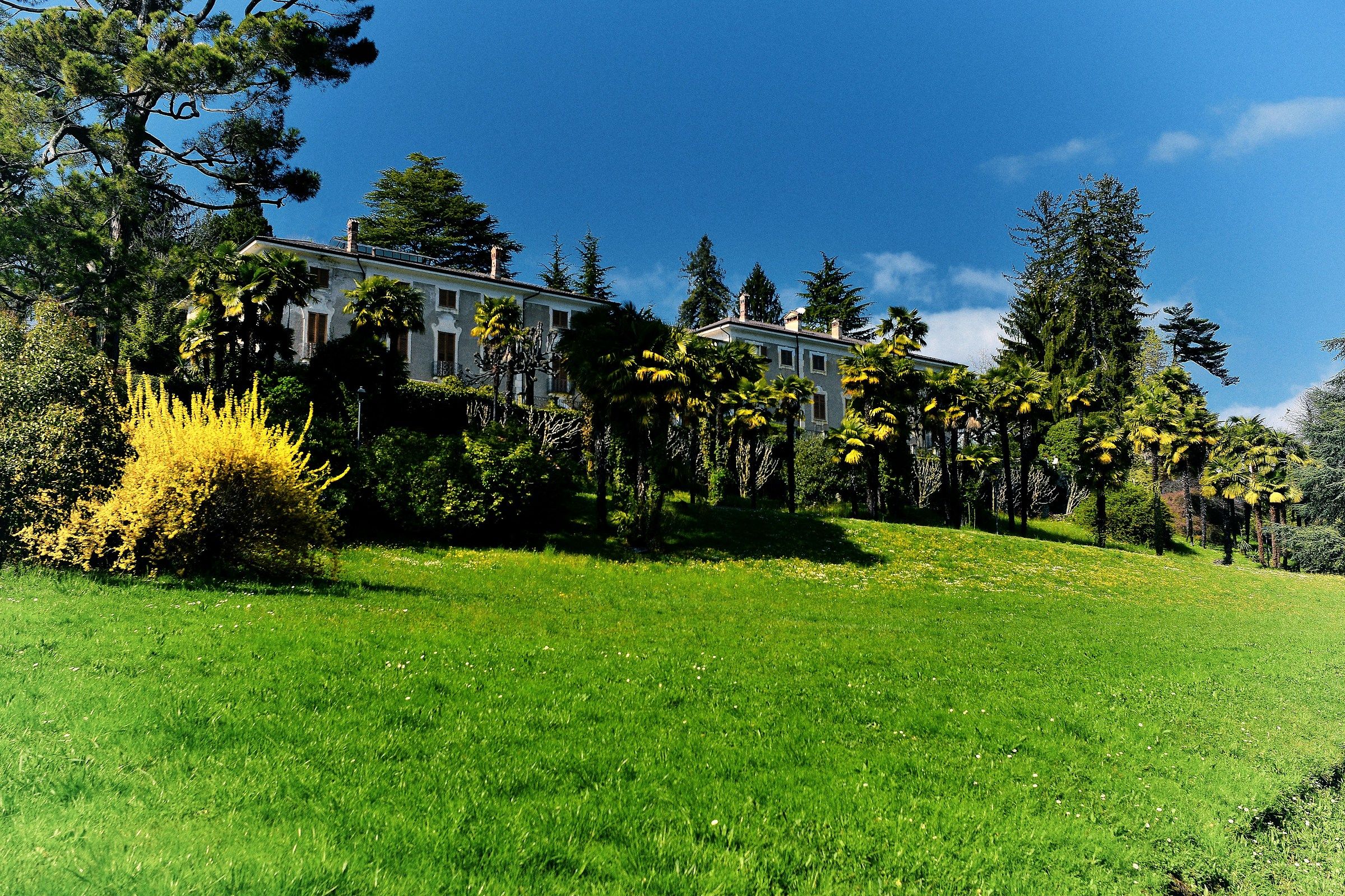 Villa Mylius - il parco