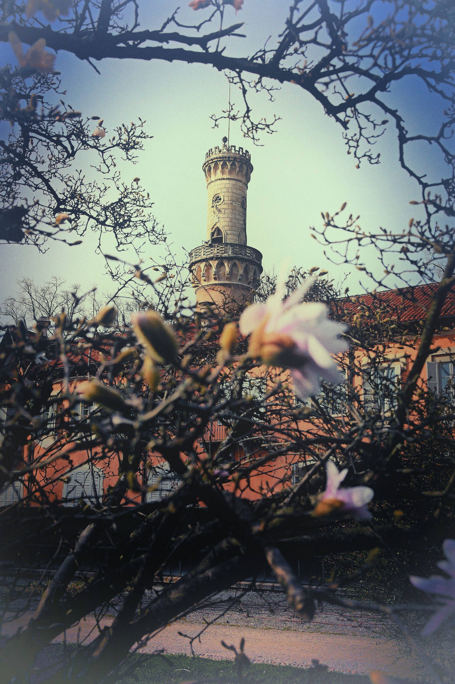 Villa Mirabello - fiori