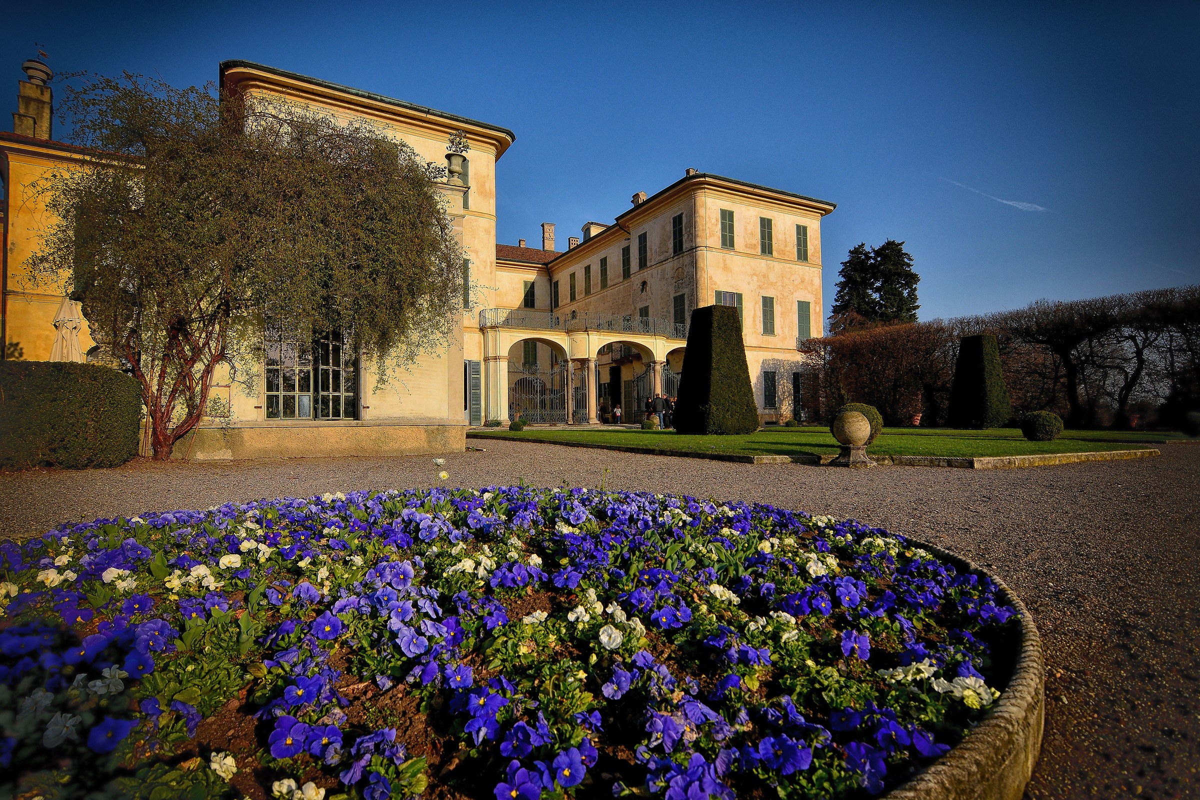 Villa Panza - fiori