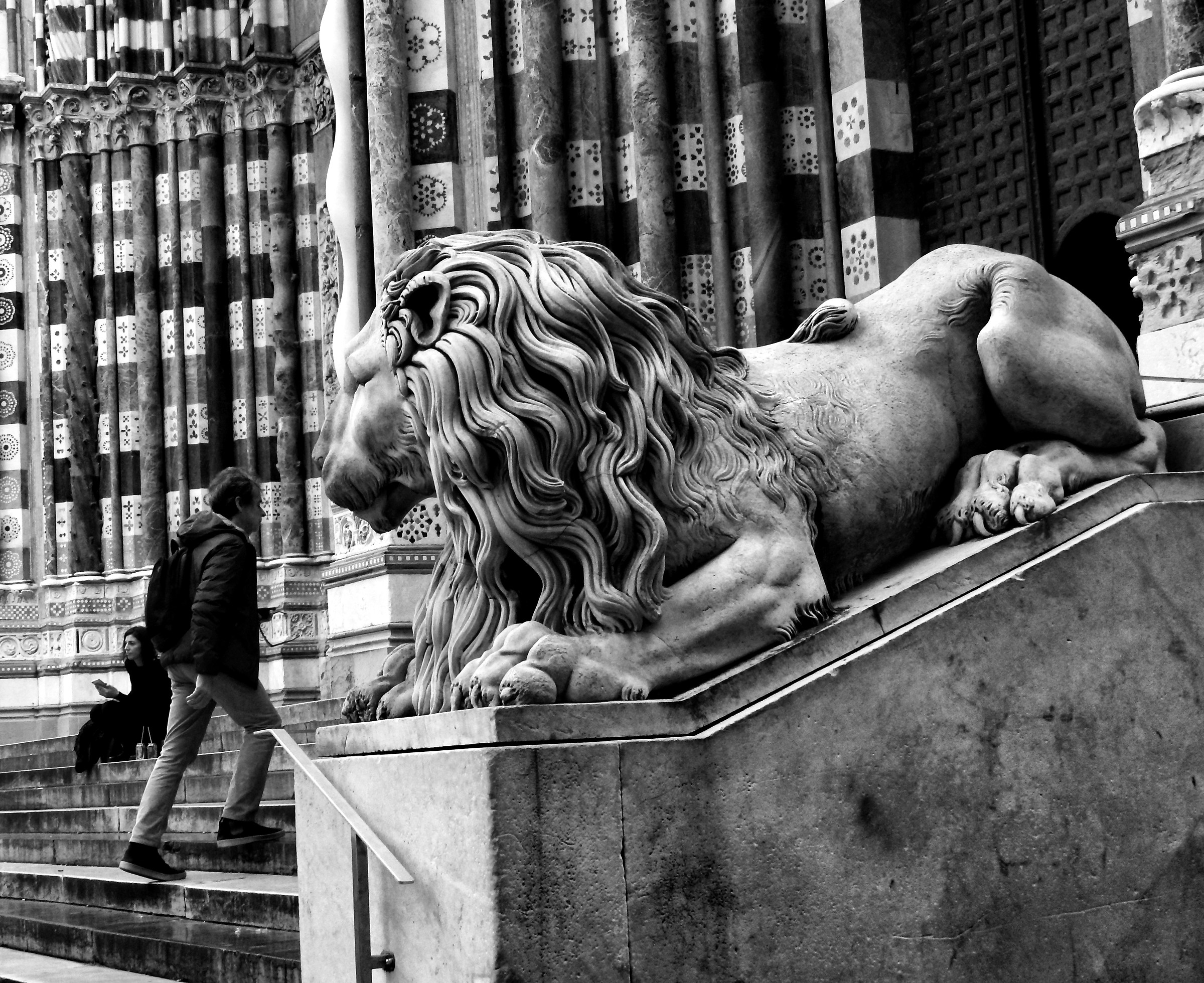 Did you see him ....