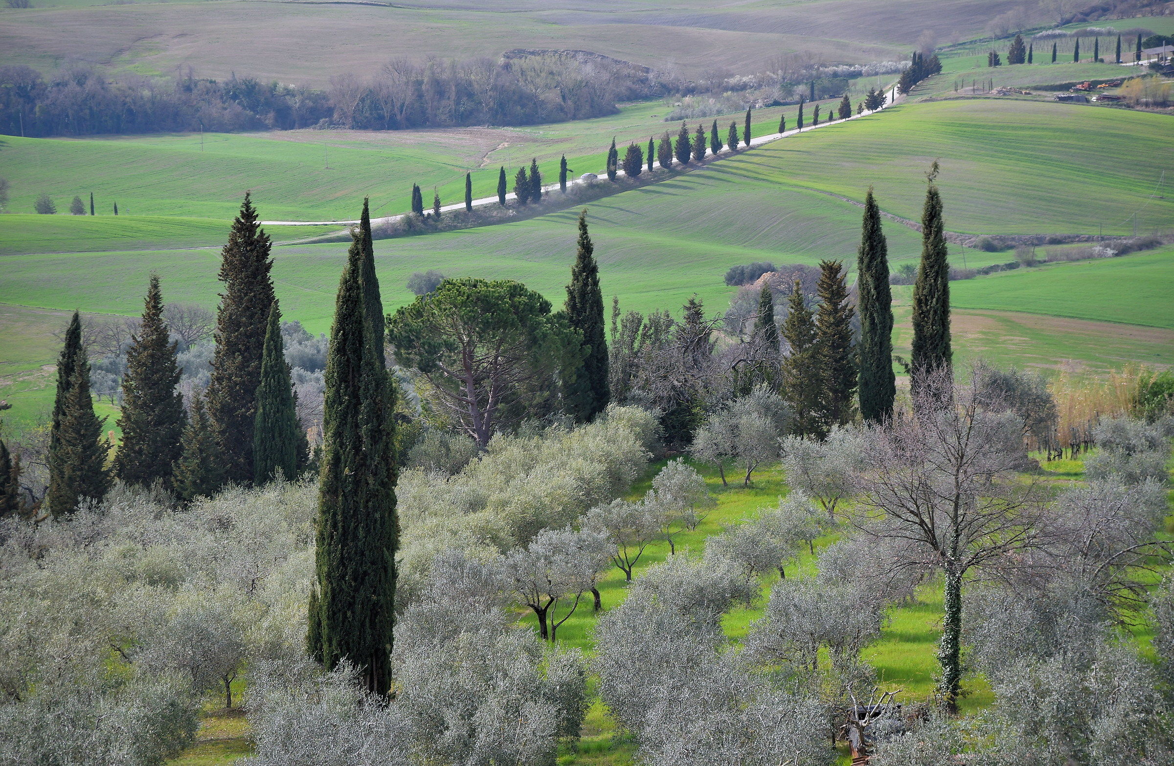 val D'Orcia
