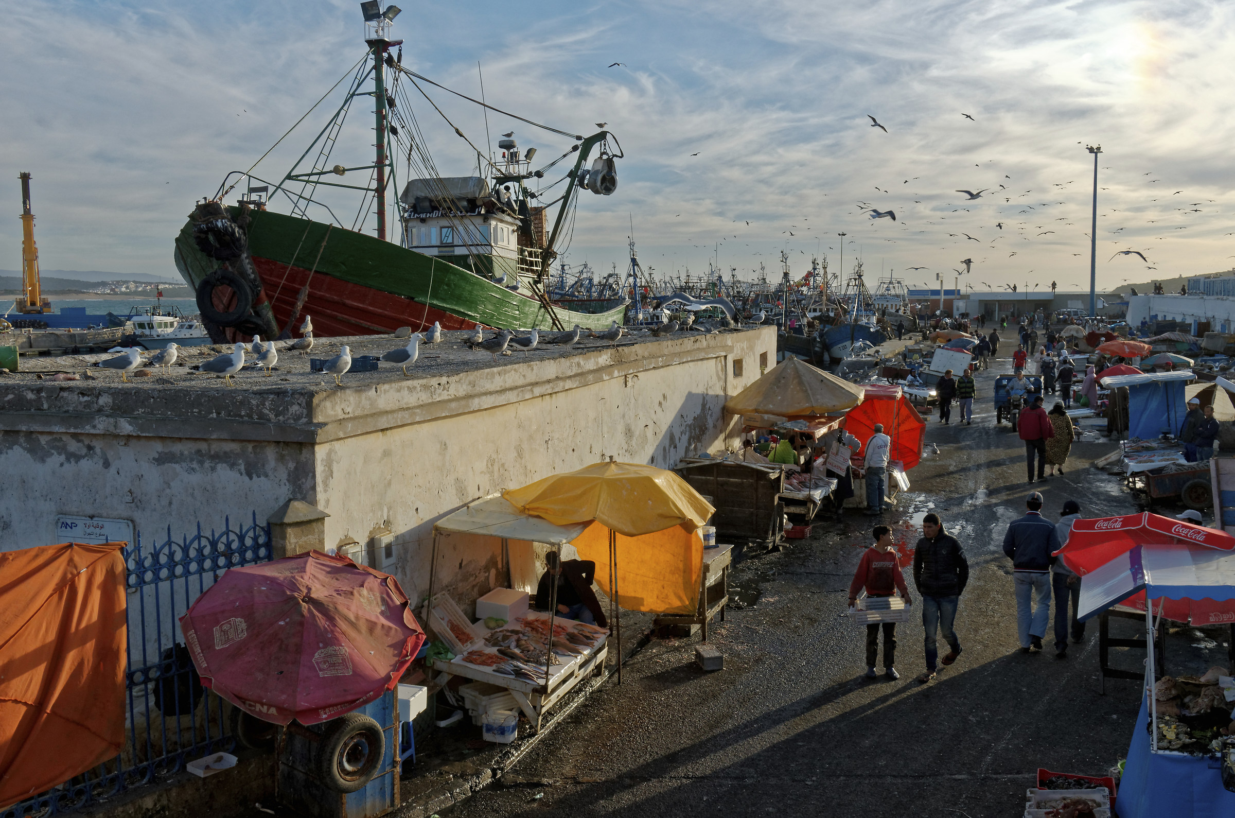 the fish market