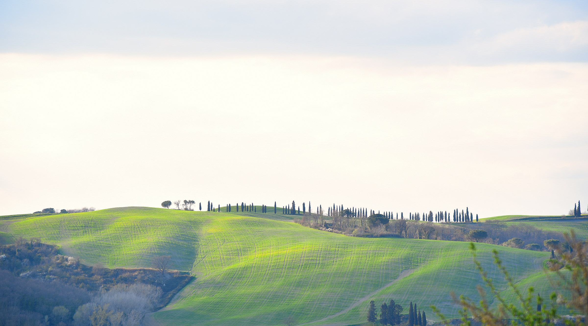 sulle strade della val d'orcia