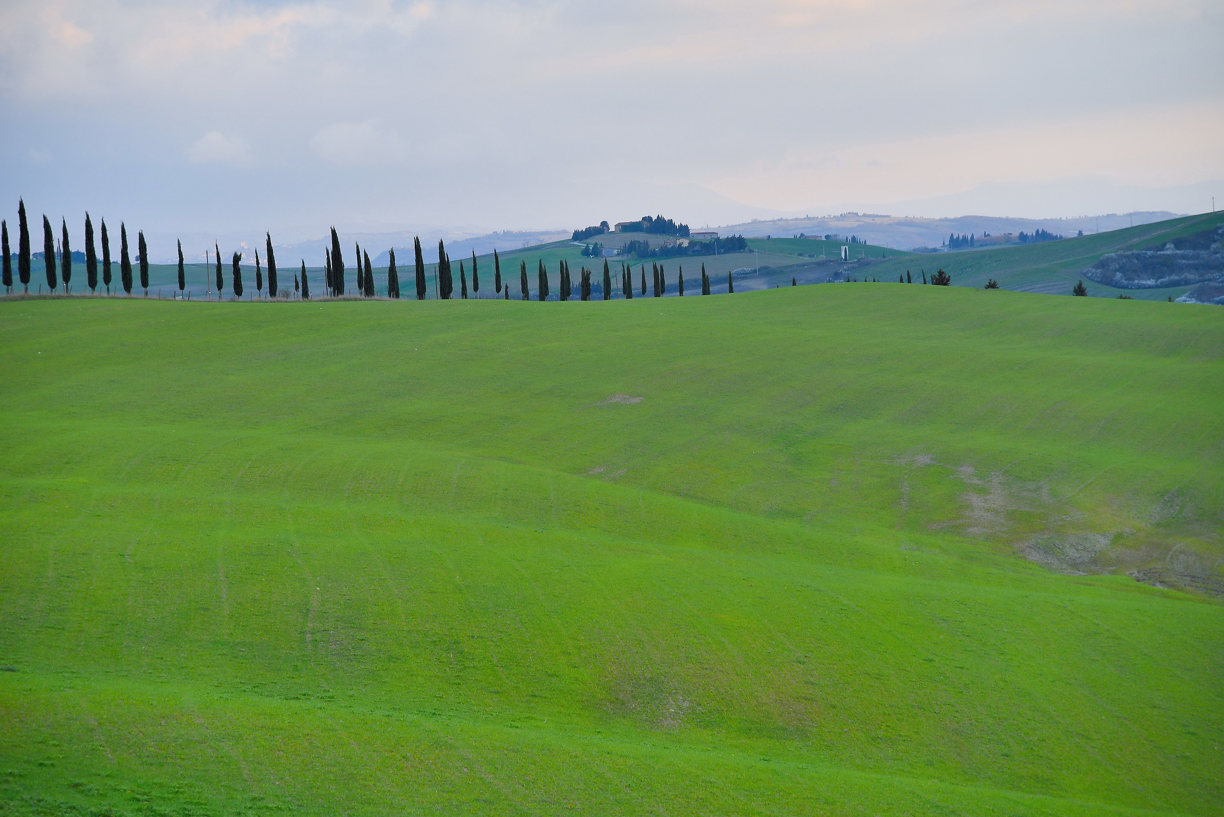 colline senesi