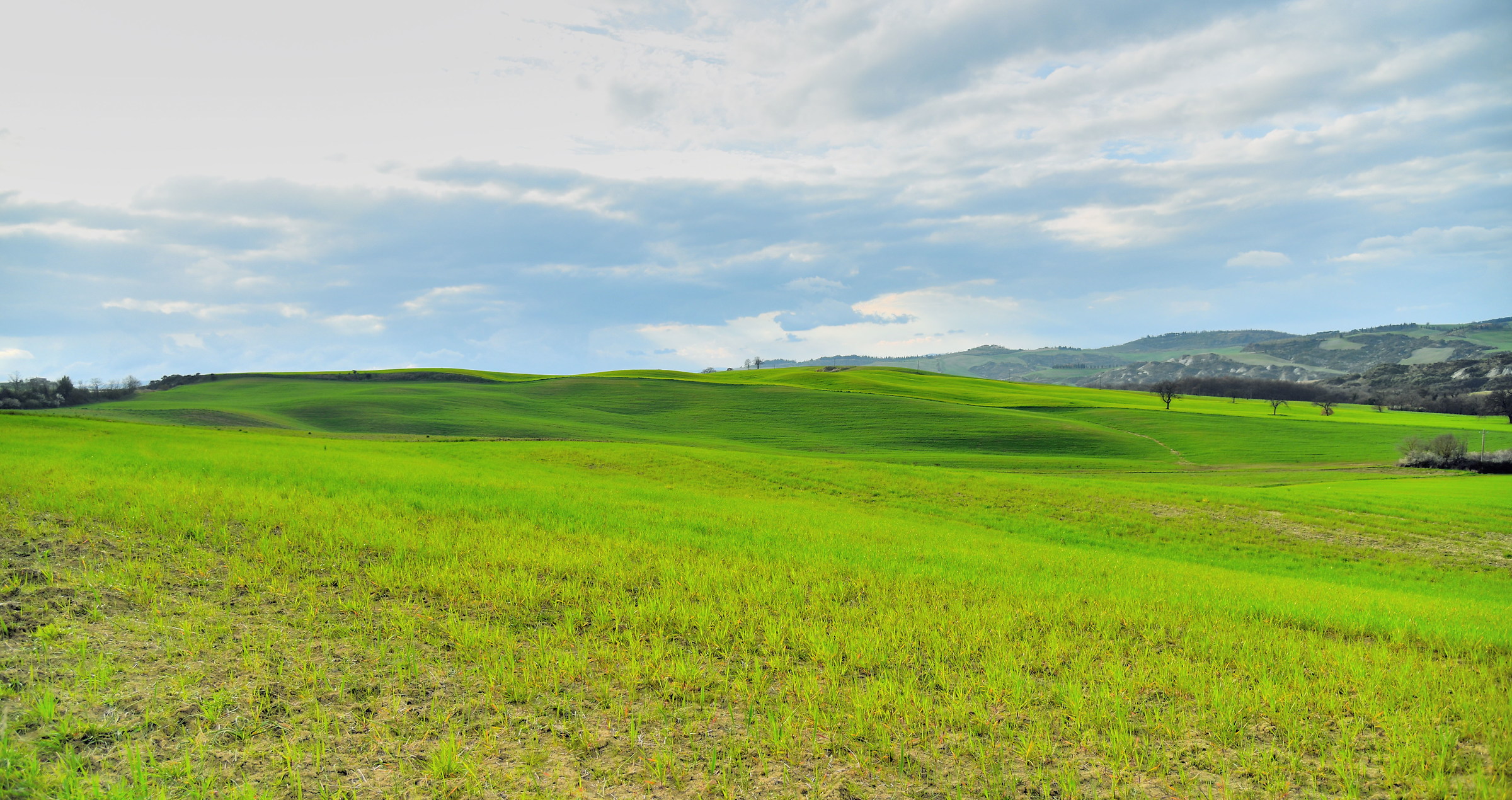 sulle strade della val d'orcia