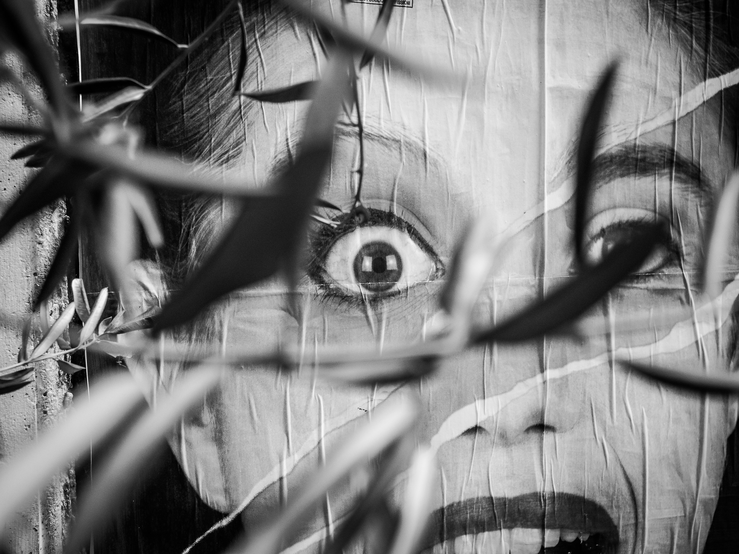 Big sister is watching you