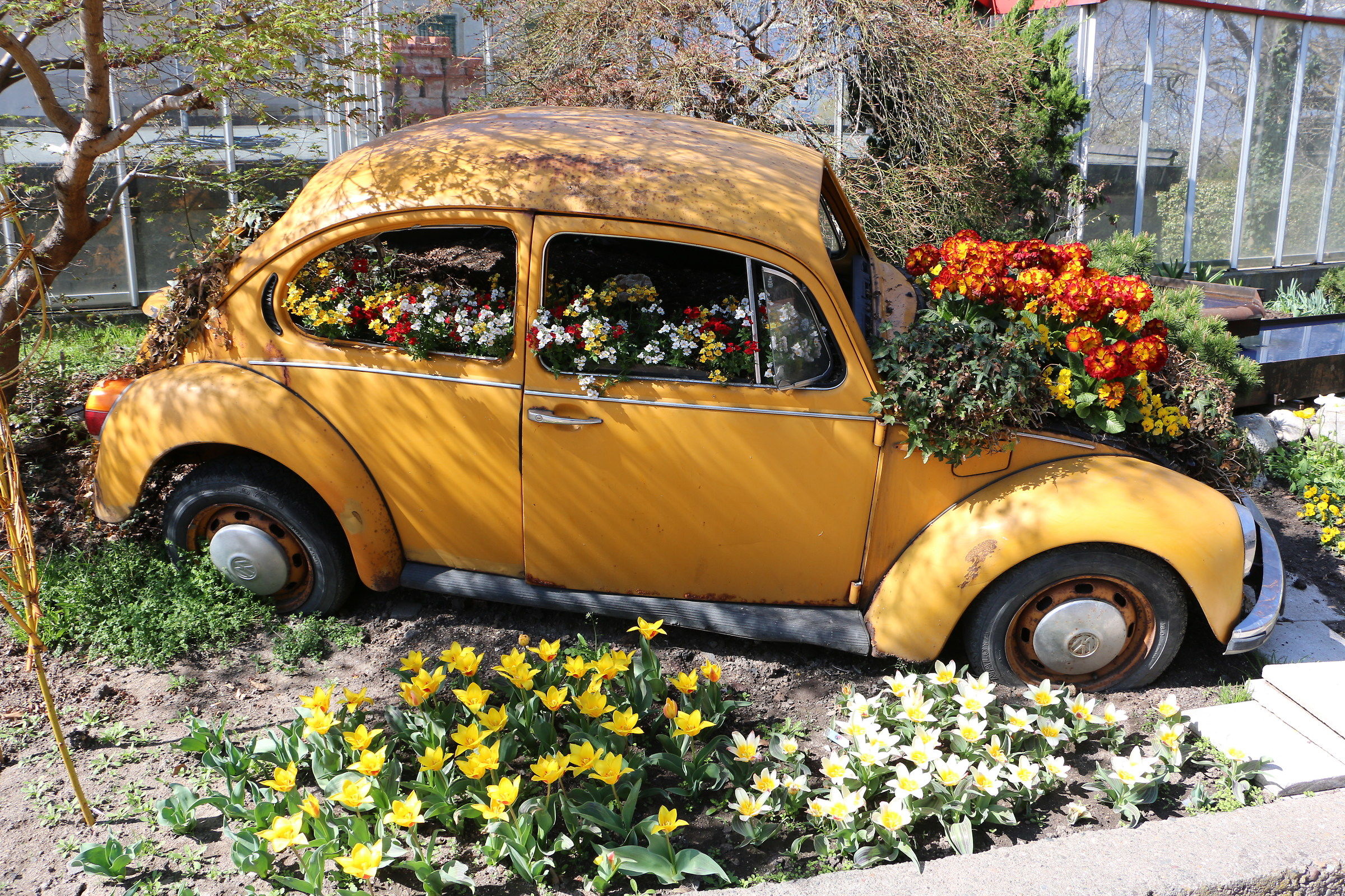 La domanda viene spontaneaa..........