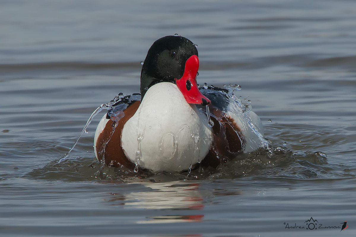 The bathroom of valpoca