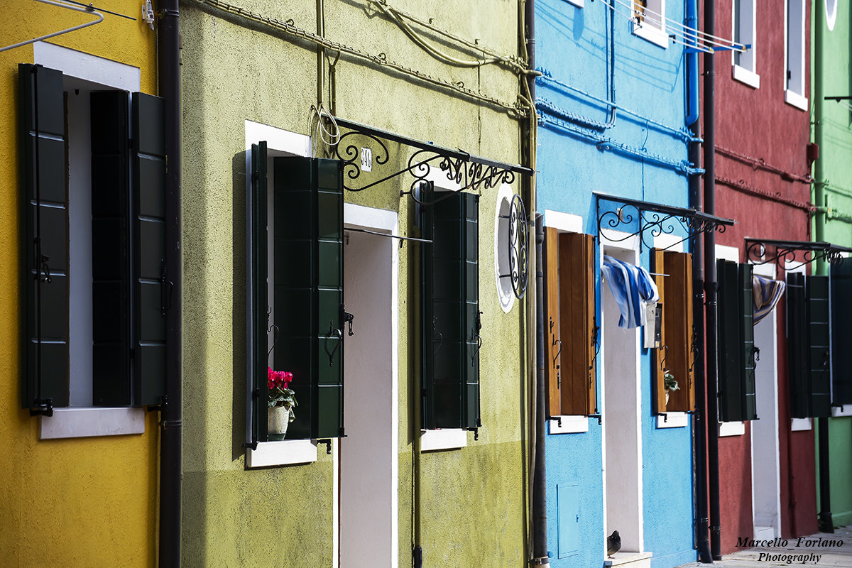 Colors of Burano
