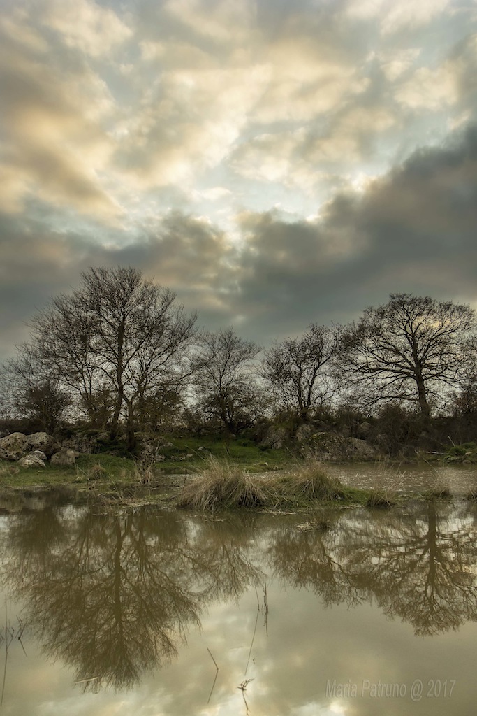 small lake on St. Joseph Gravina-Ruvo