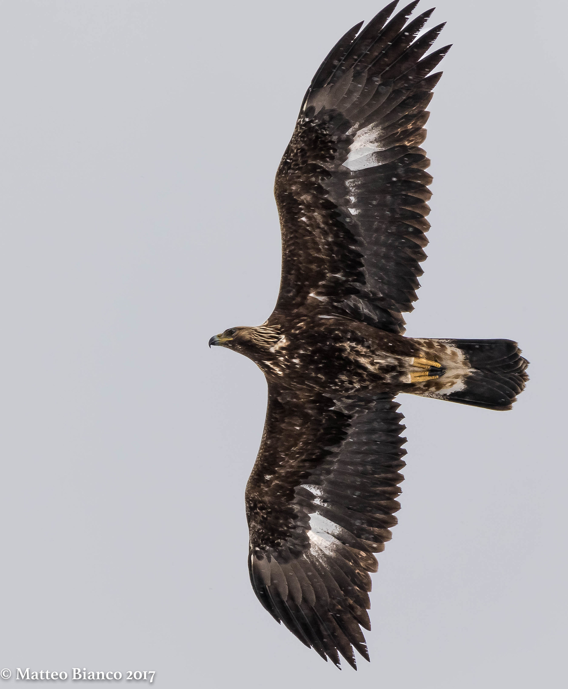 The queen of heaven ...