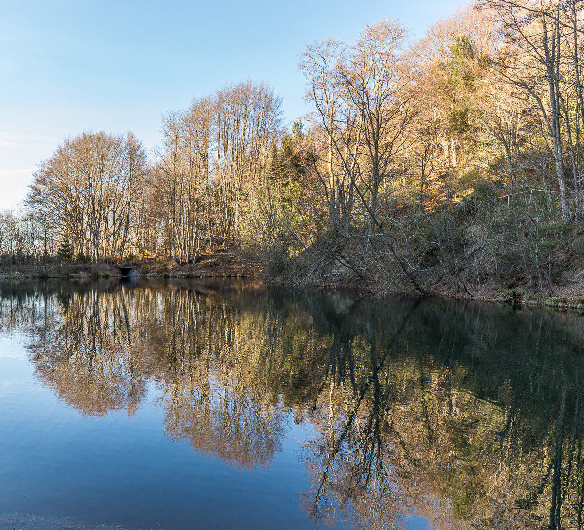 Laghetto di Davoli (cz)