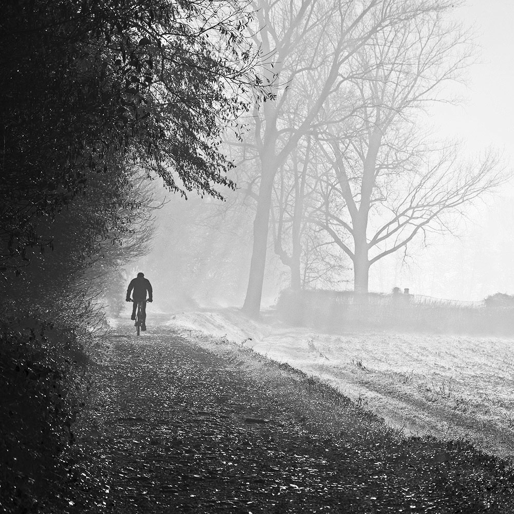 riding in the fog