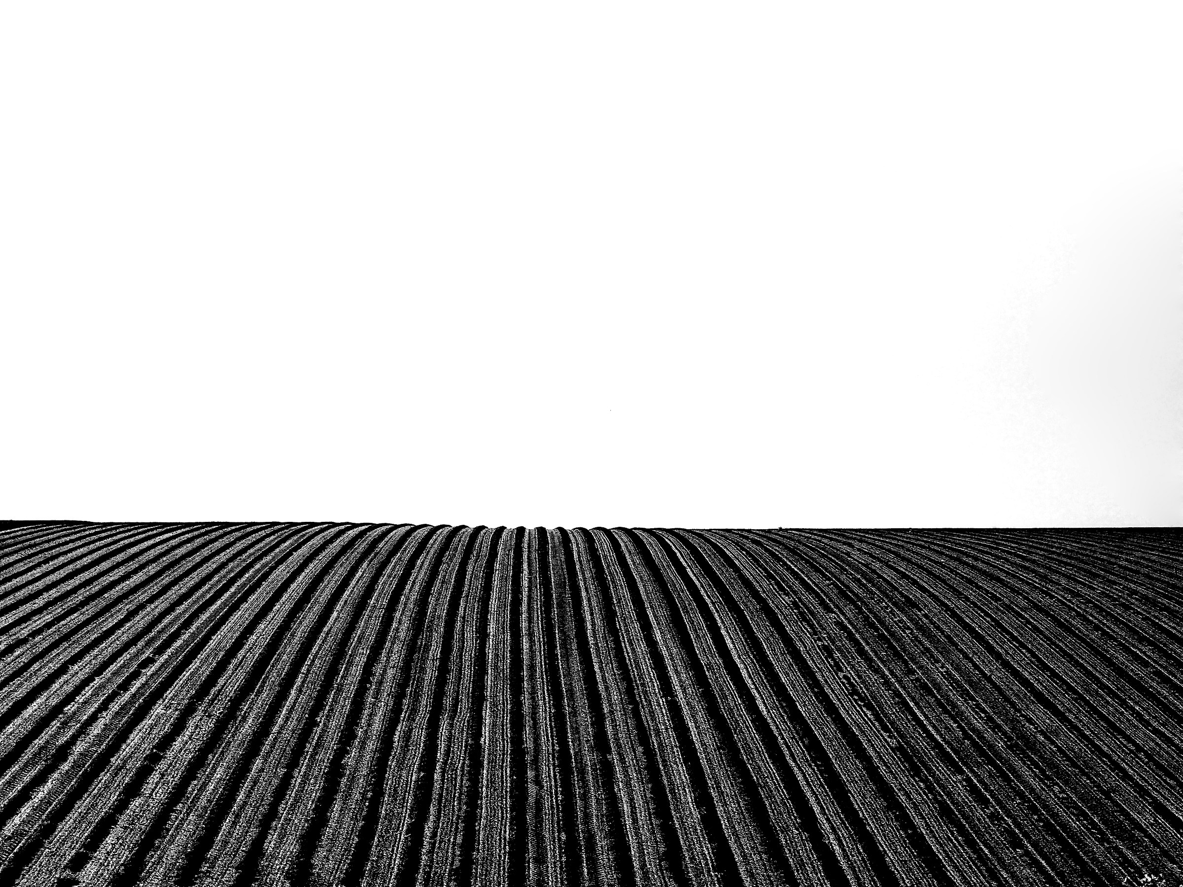 Provencal geometries