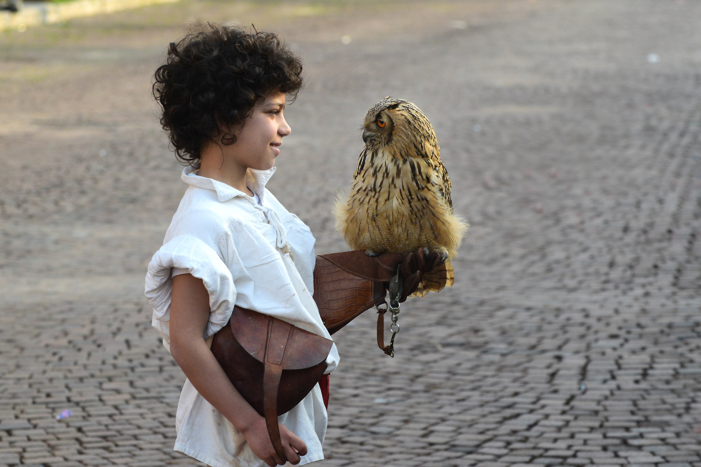 Small falconer