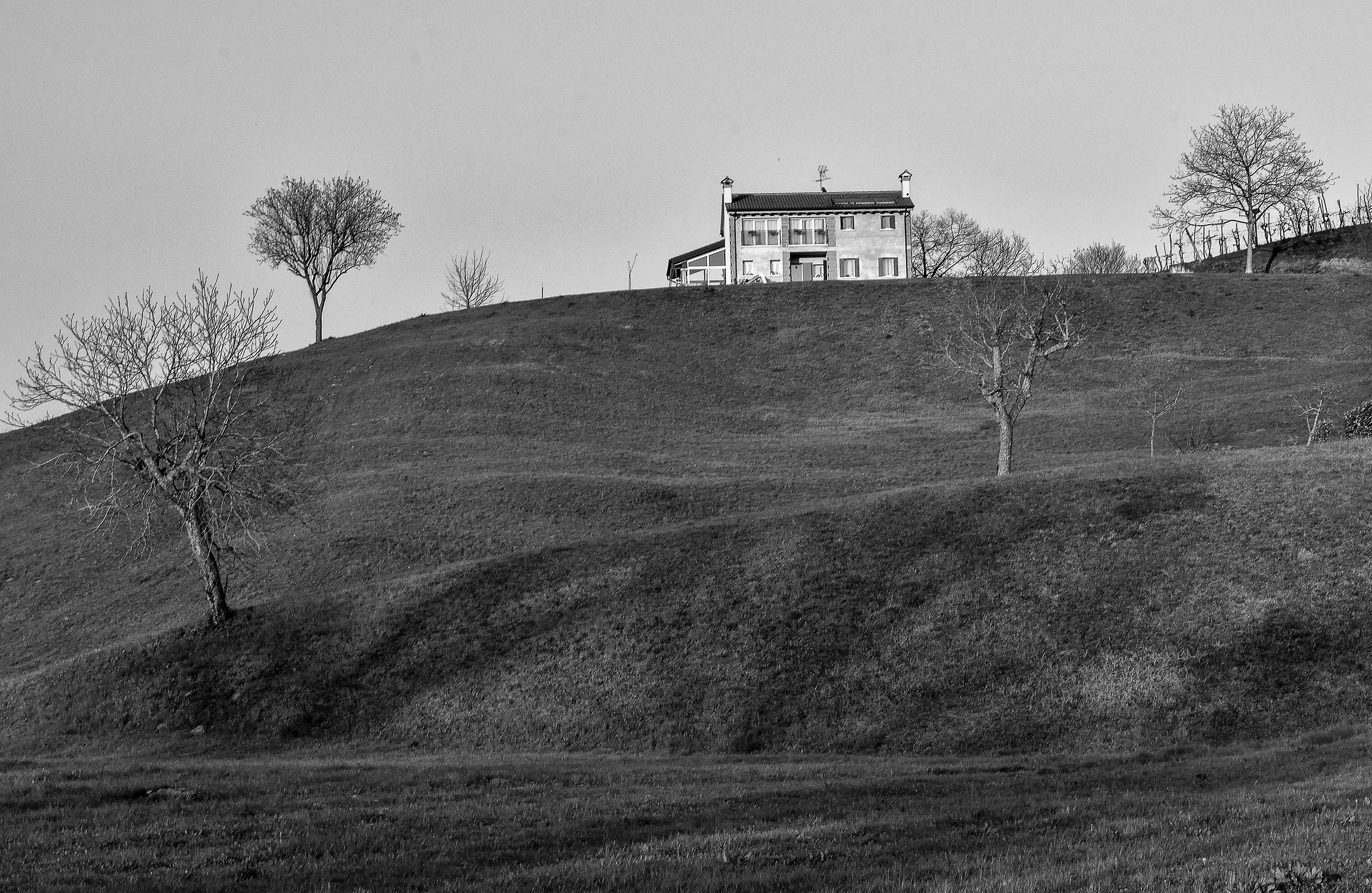 La casa sulla collina B/N