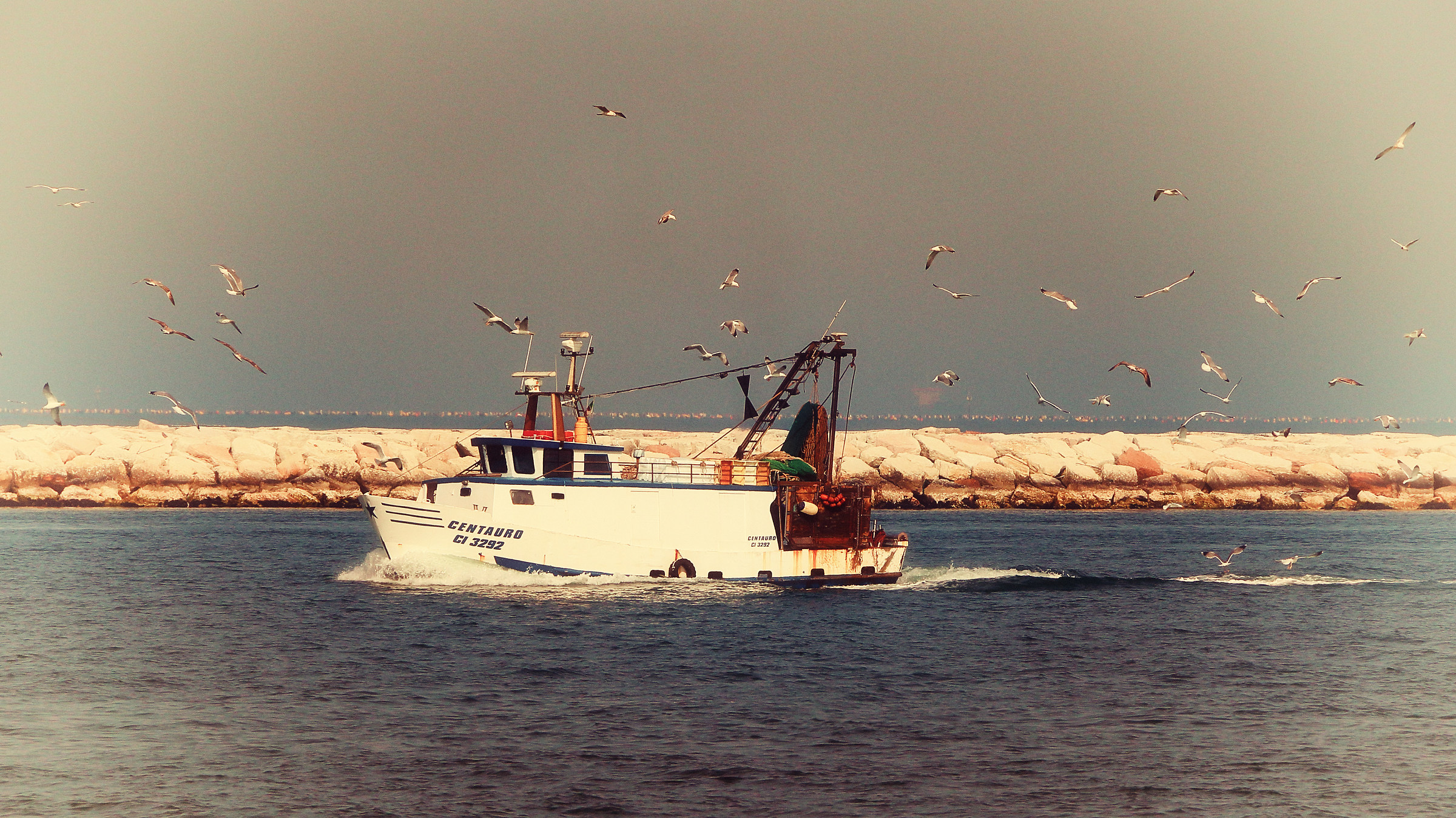 Here comes the baby food